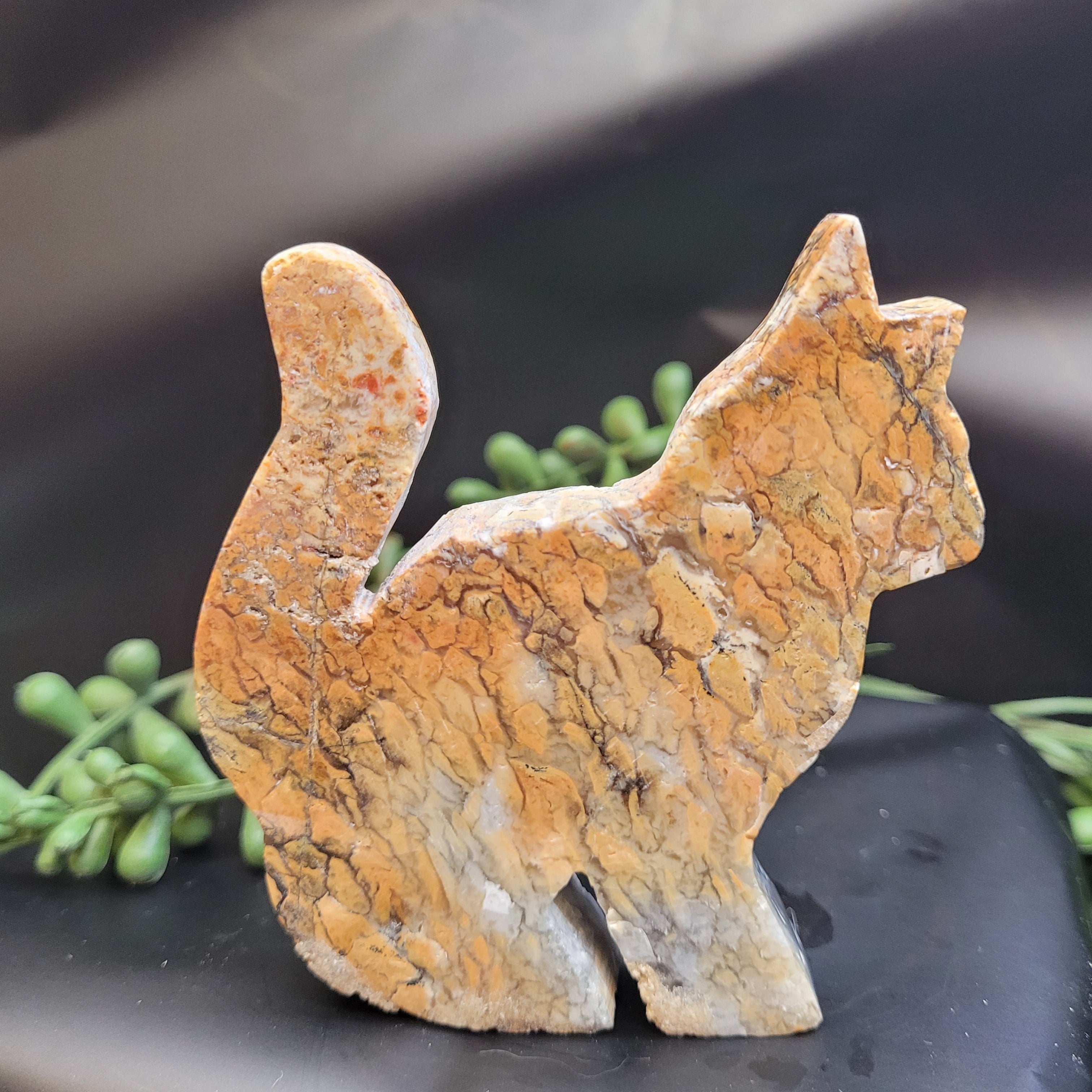 Blue Plume Agate Cat • Autumn Plume Carving
