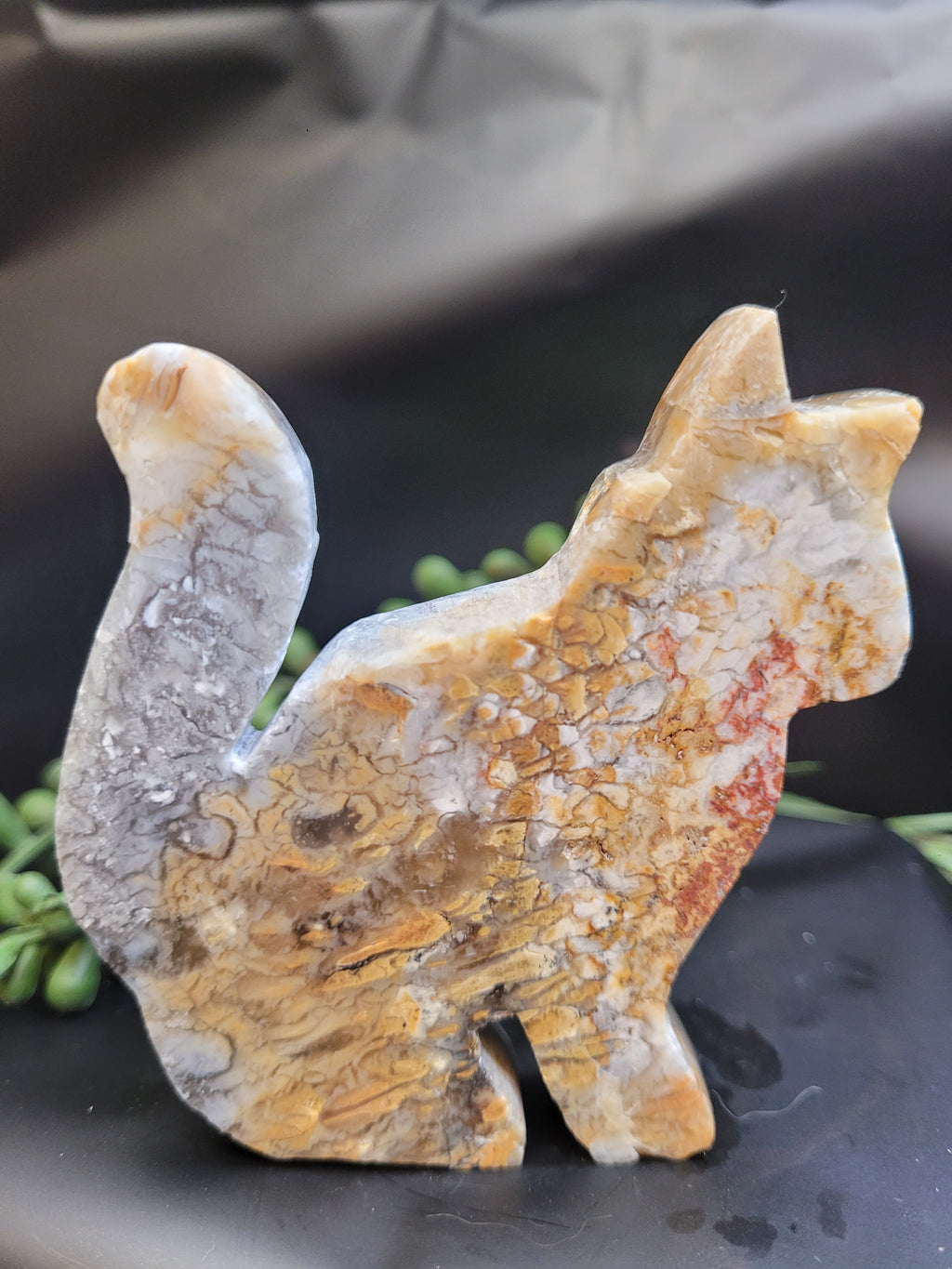 Blue Plume Agate Cat • Druzy Plume Carving