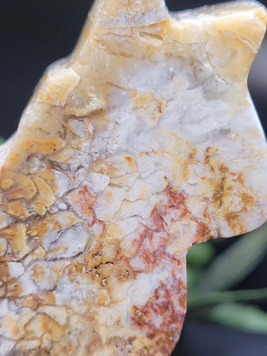 Blue Plume Agate Cat • Druzy Plume Carving