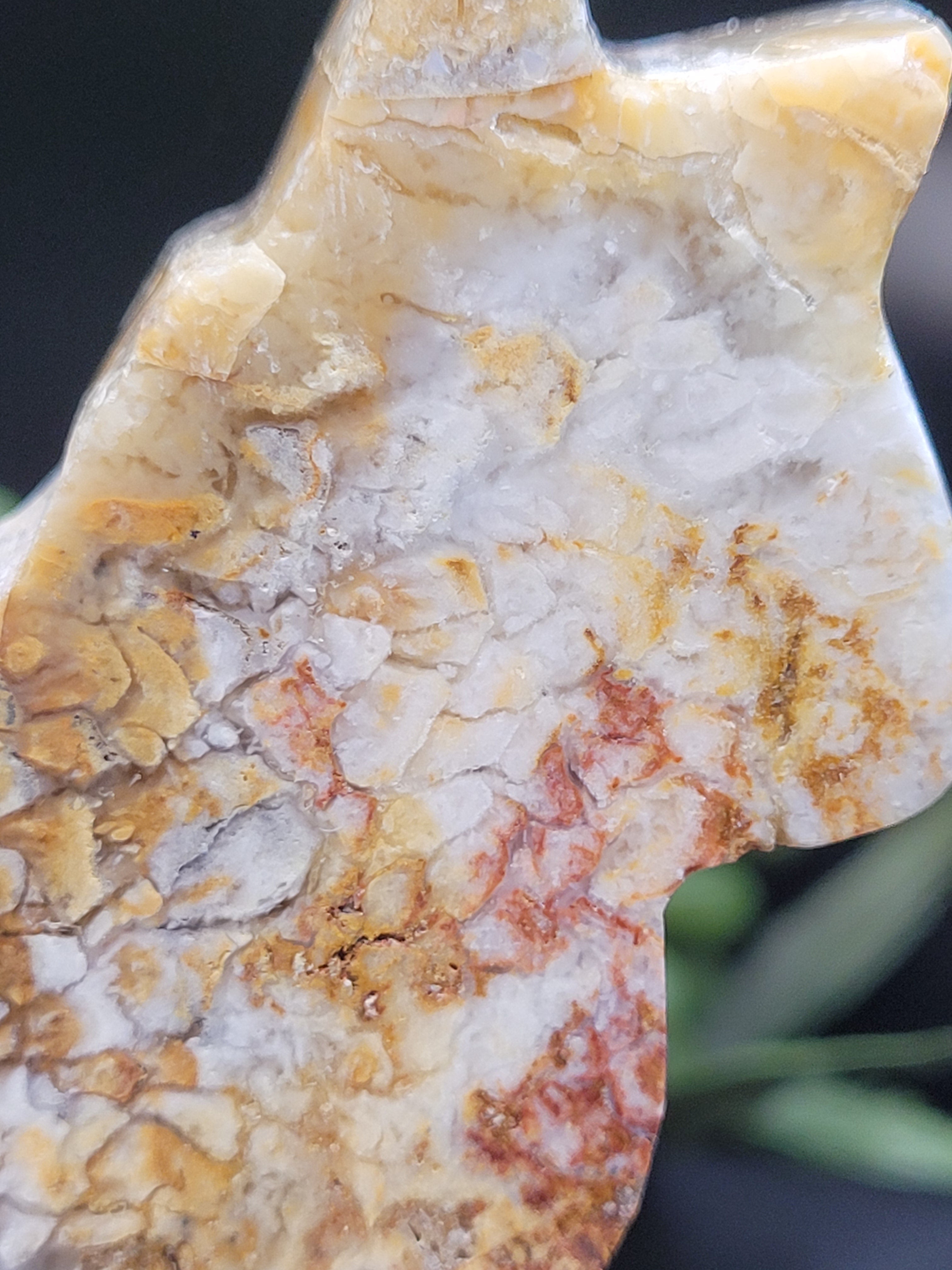 Blue Plume Agate Cat • Druzy Plume Carving