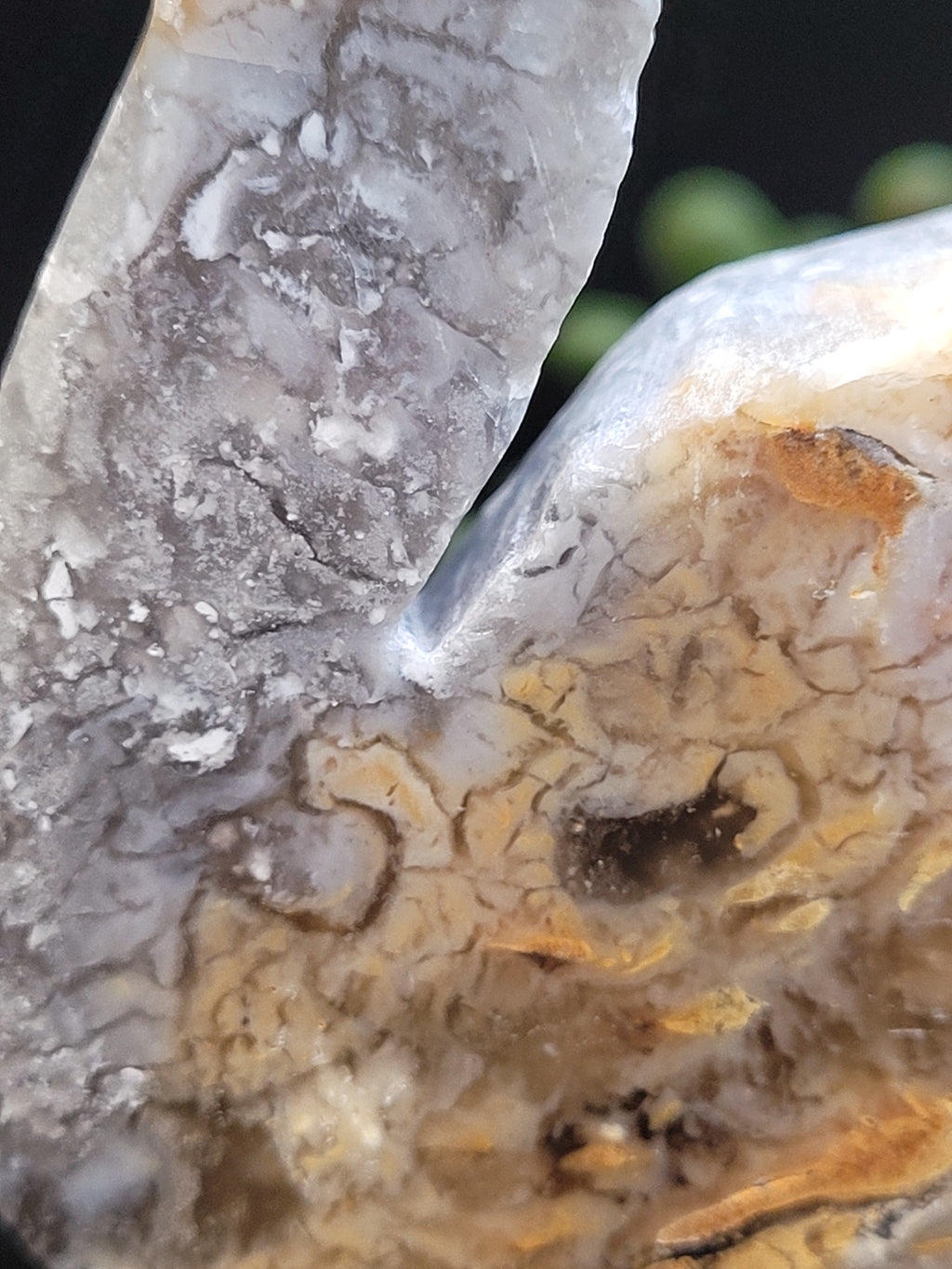 Blue Plume Agate Cat • Druzy Plume Carving
