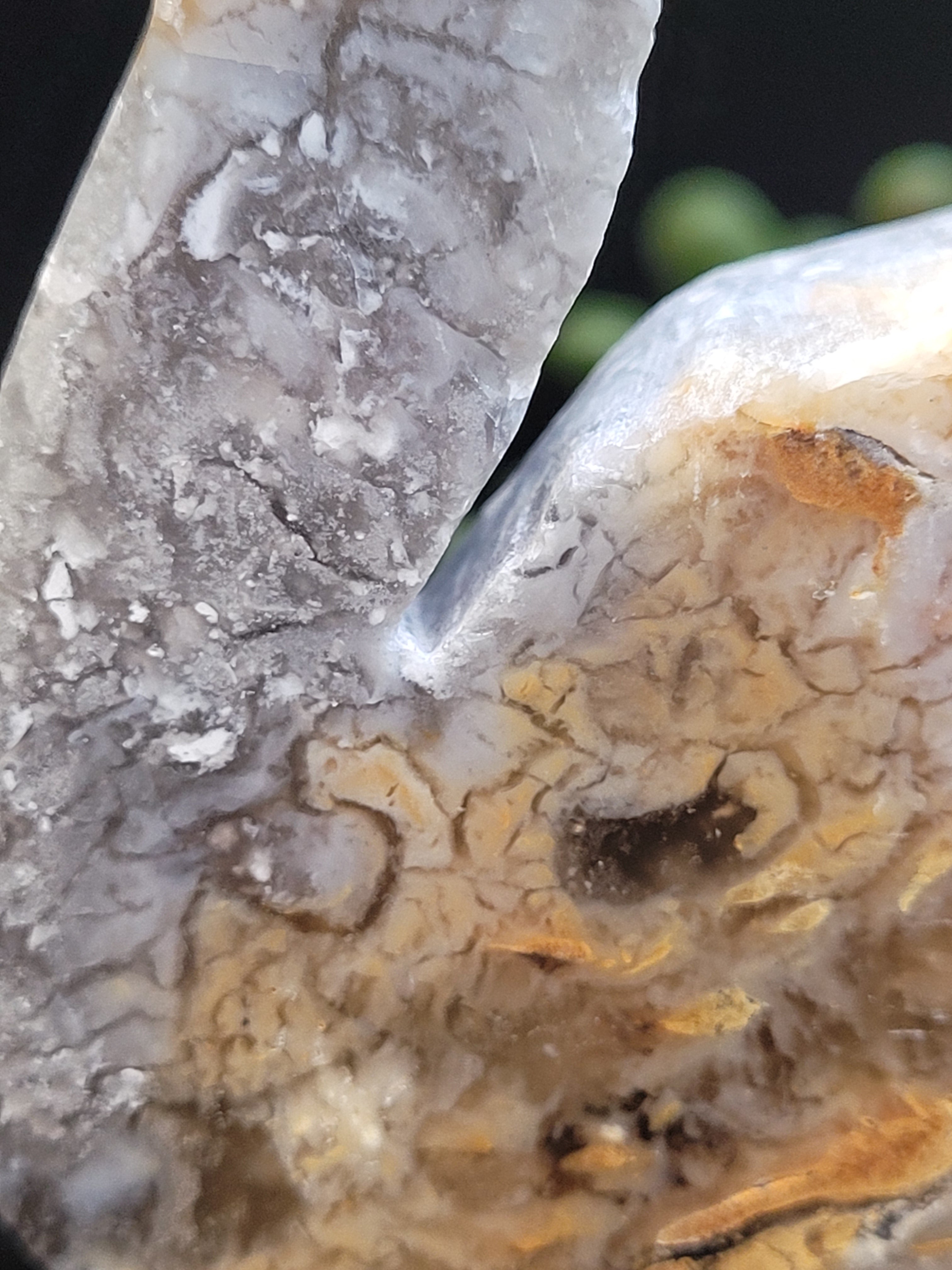 Blue Plume Agate Cat • Druzy Plume Carving