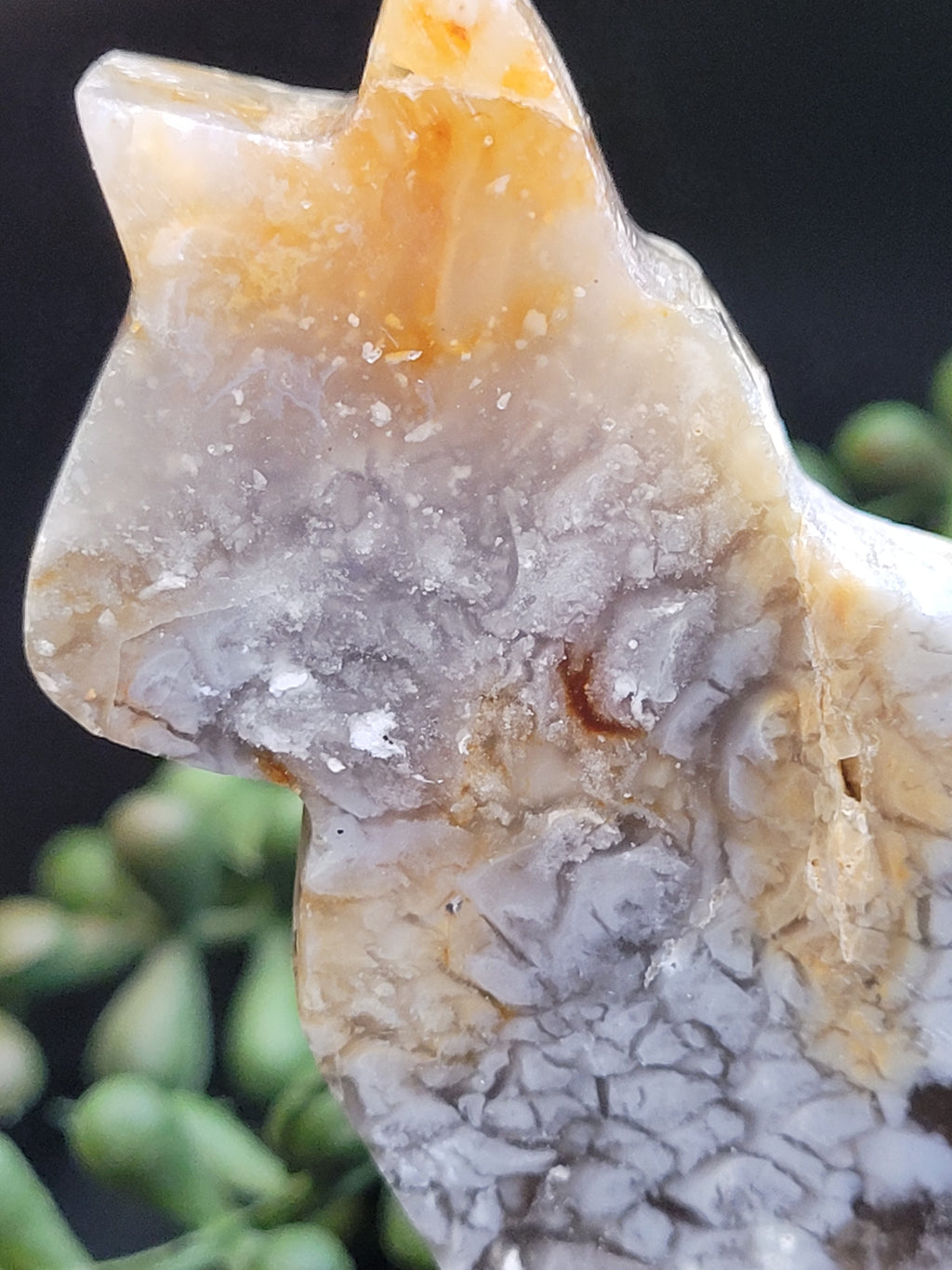 Blue Plume Agate Cat • Druzy Plume Carving