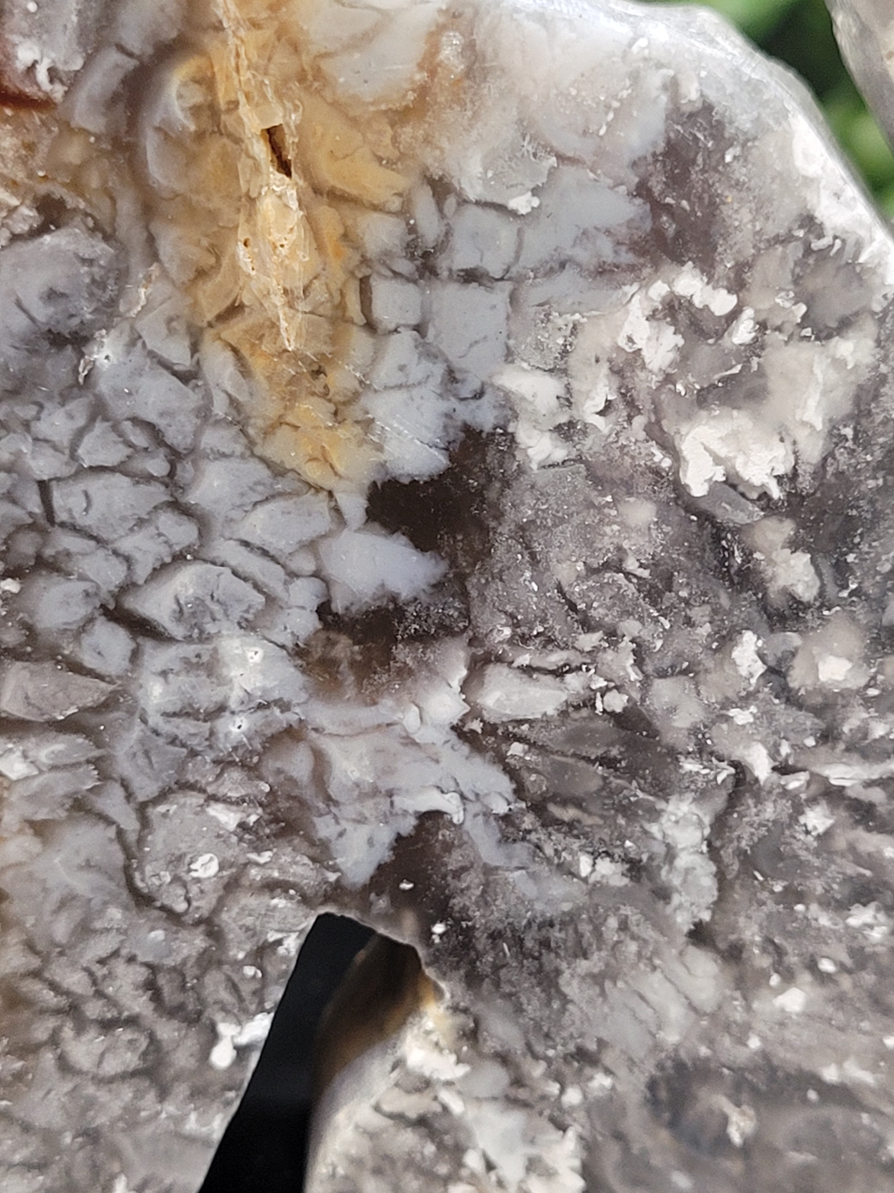 Blue Plume Agate Cat • Druzy Plume Carving