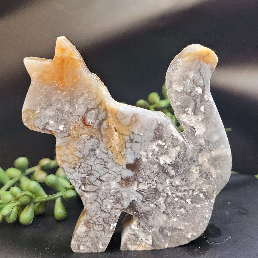 Blue Plume Agate Cat • Druzy Plume Carving