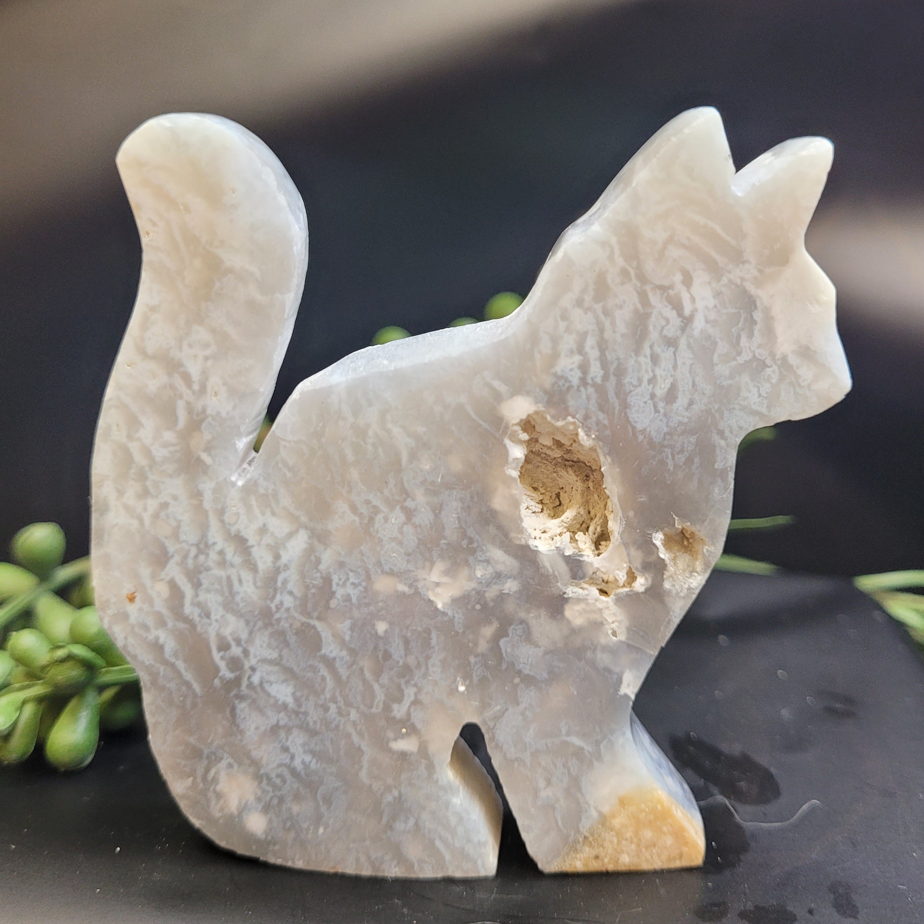 Blue Plume Agate Cat • Natural Vug Carving