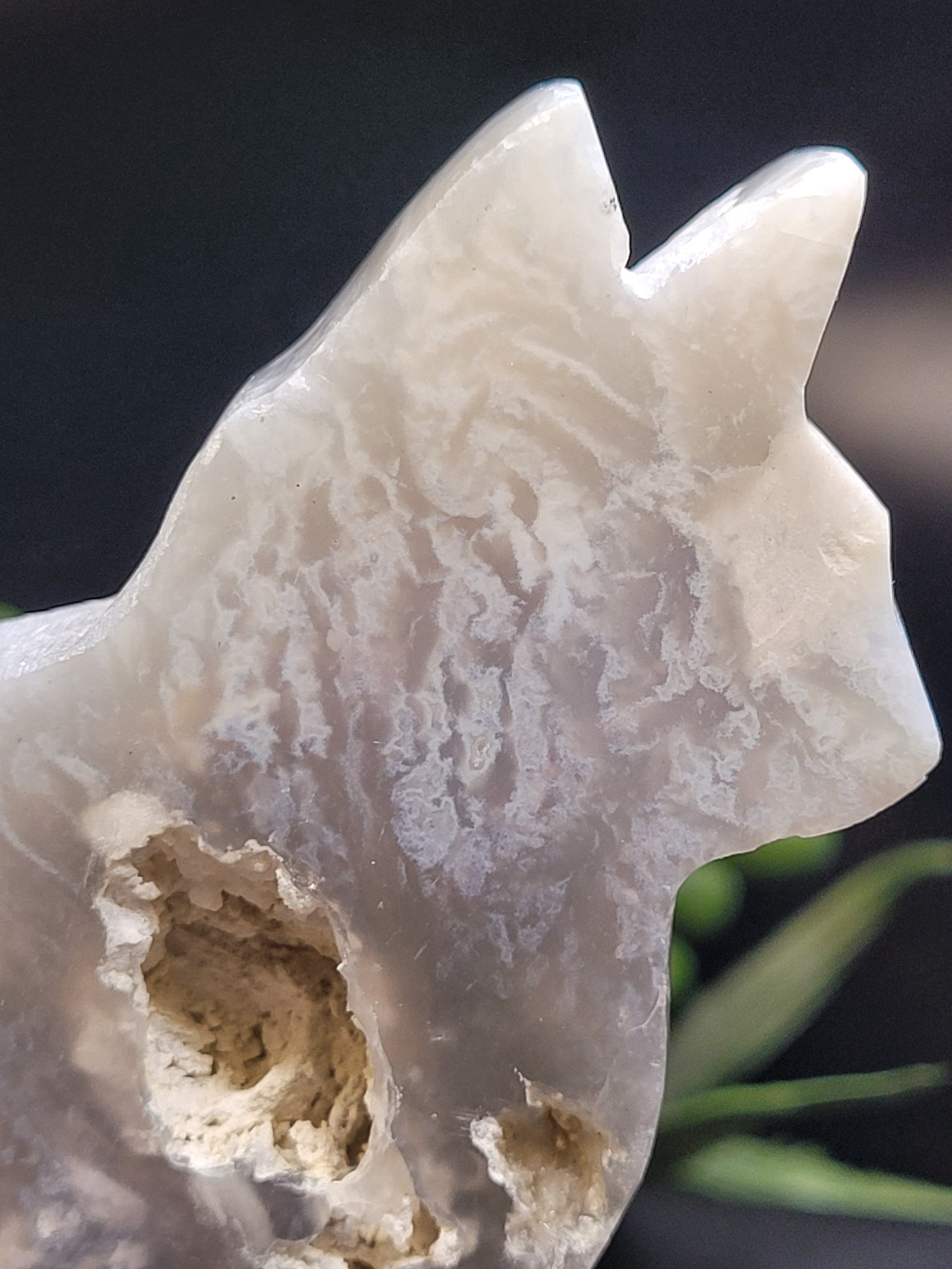 Blue Plume Agate Cat • Natural Vug Carving