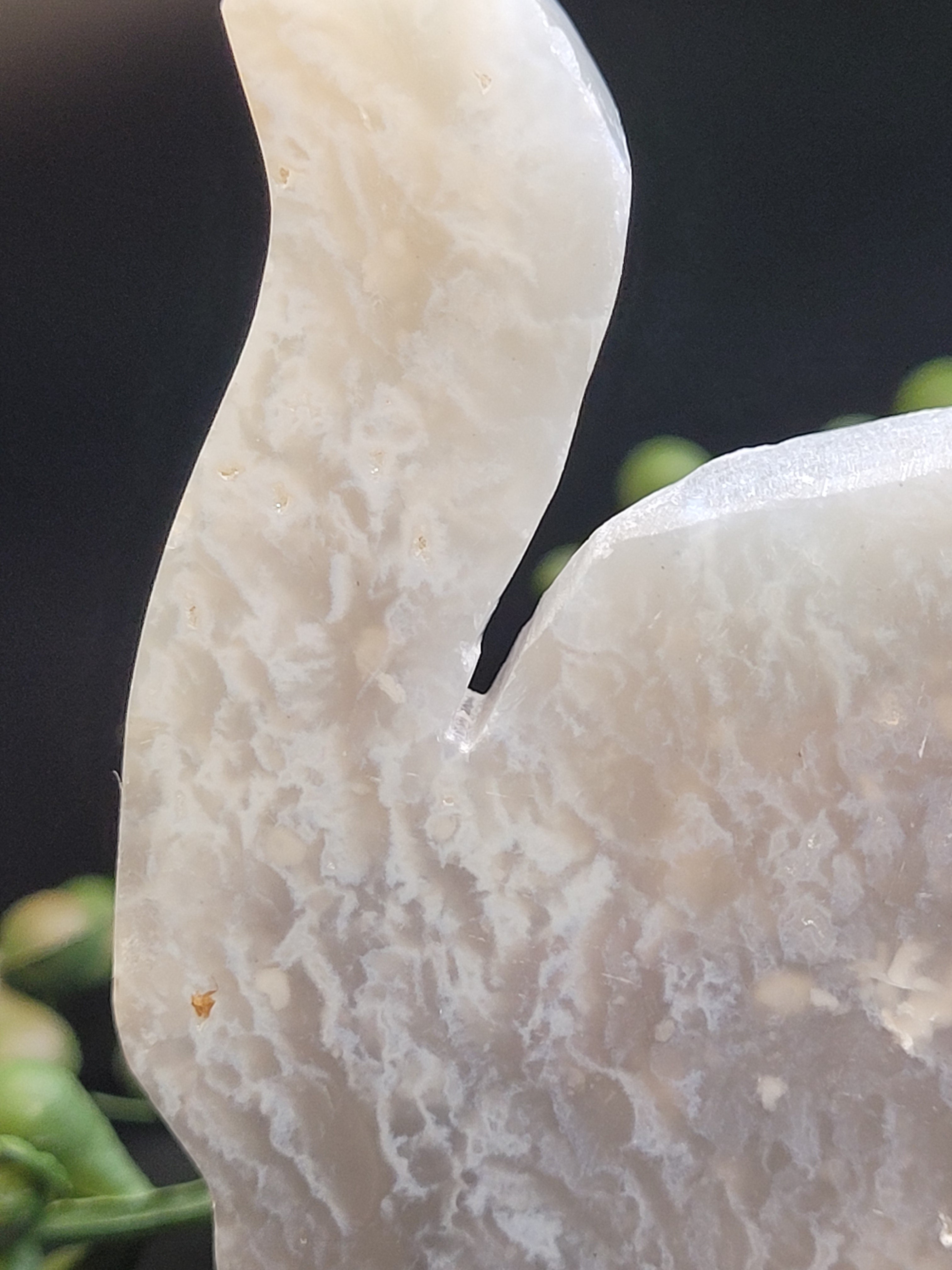 Blue Plume Agate Cat • Natural Vug Carving