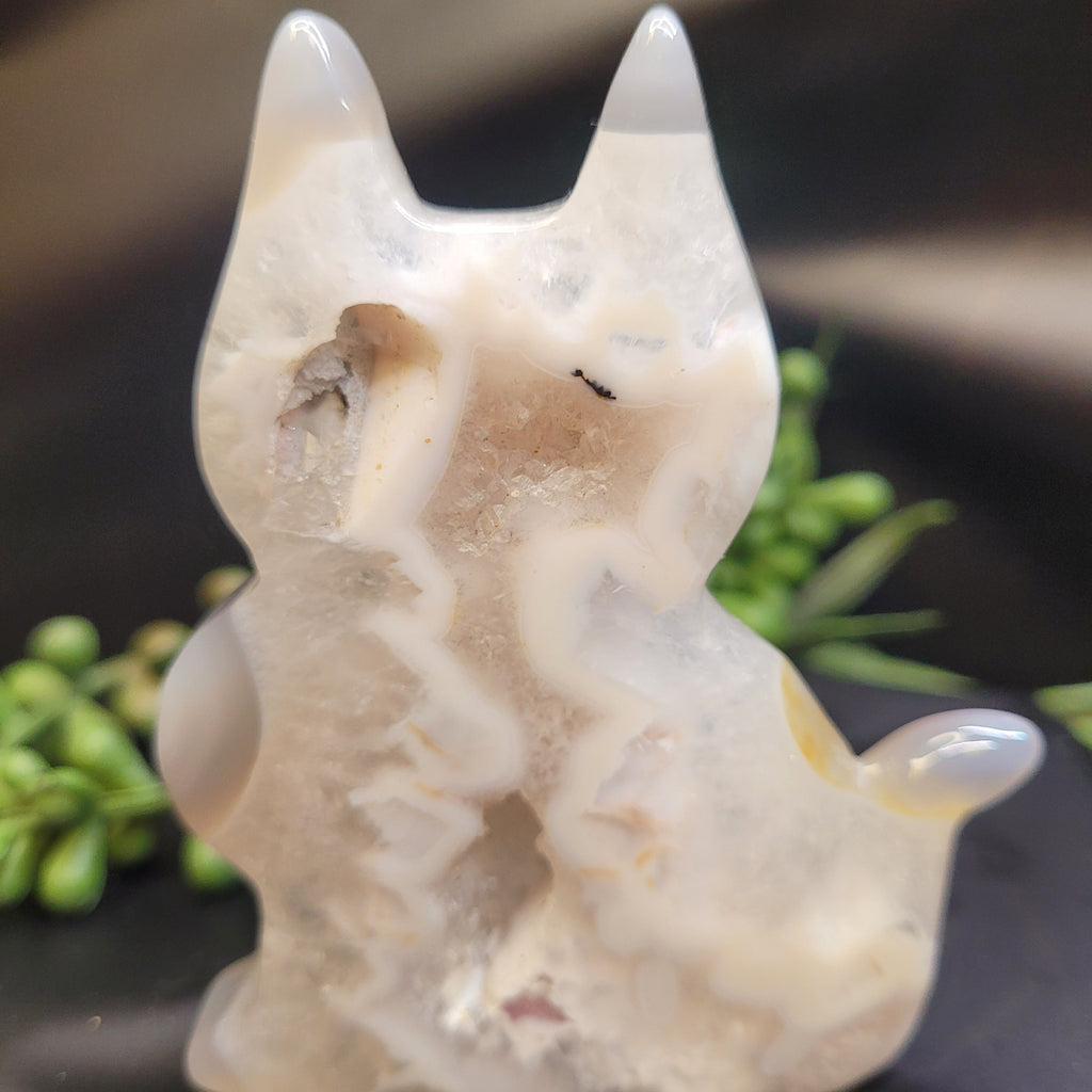 White Plume Agate Cat • Druzy Window Carving