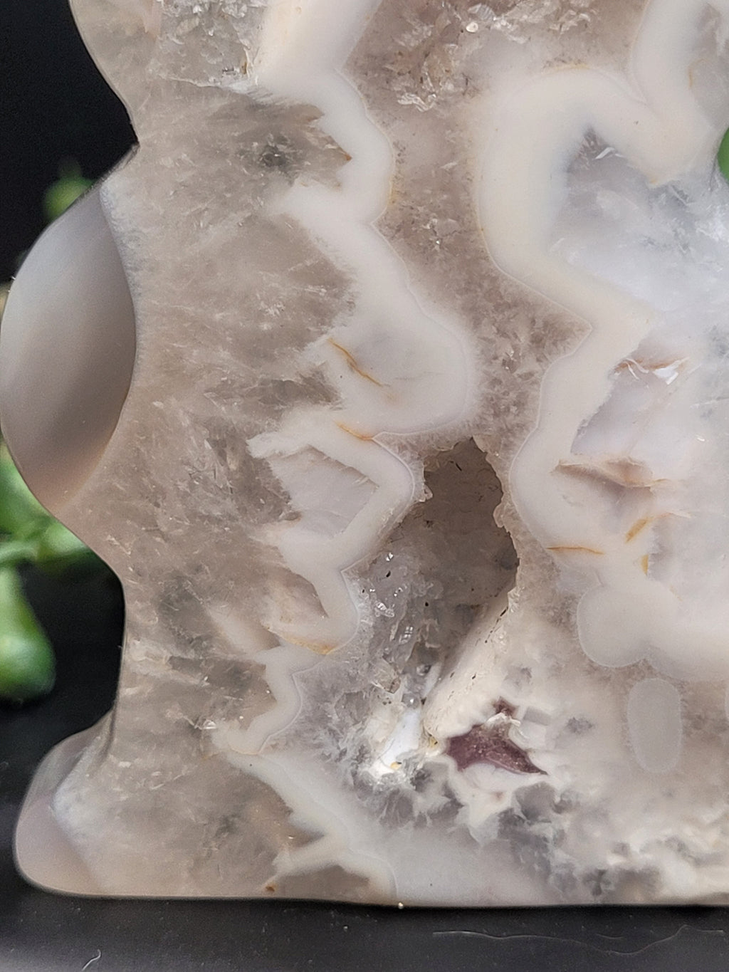 White Plume Agate Cat • Druzy Window Carving
