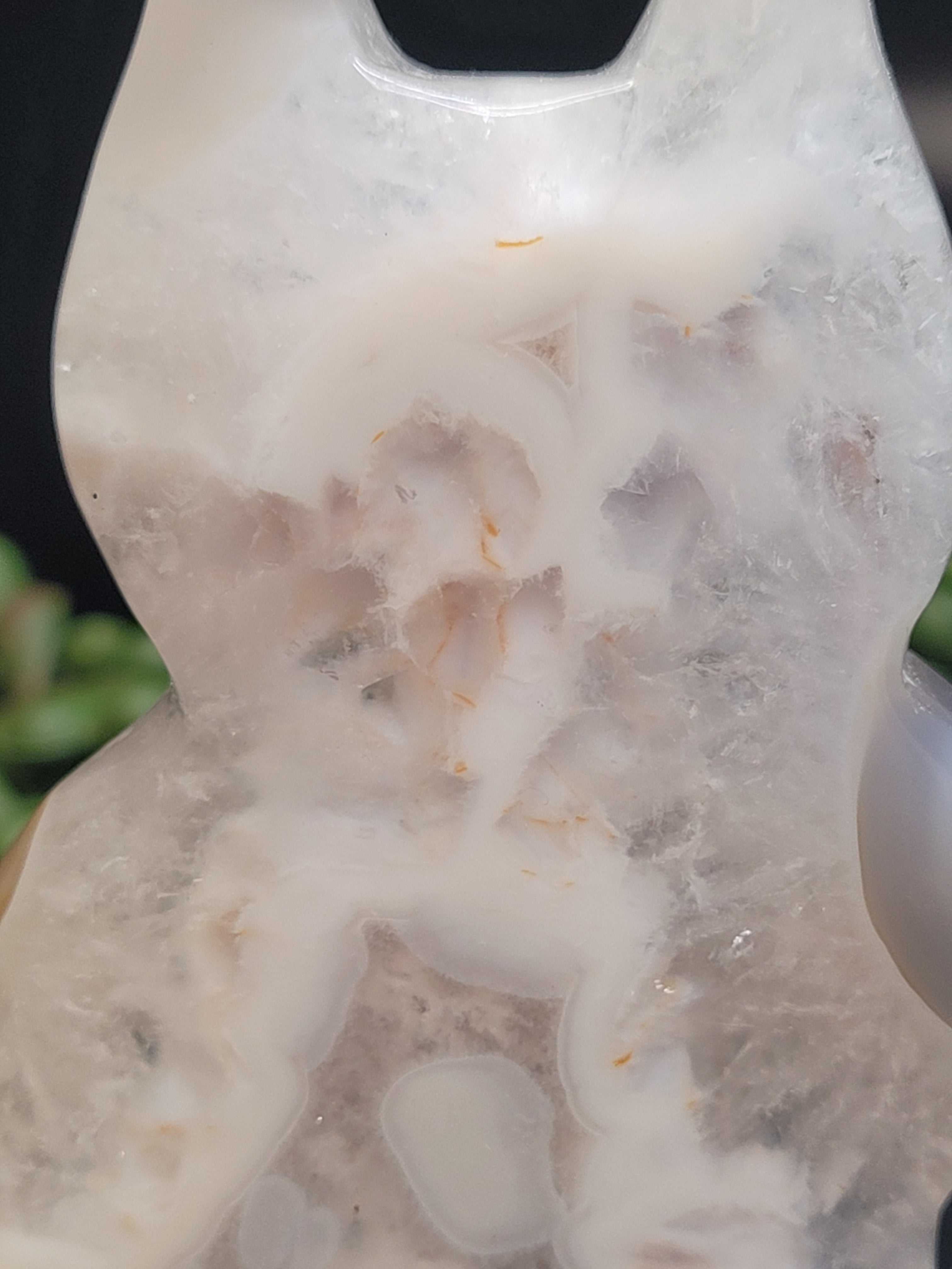 White Plume Agate Cat • Druzy Window Carving
