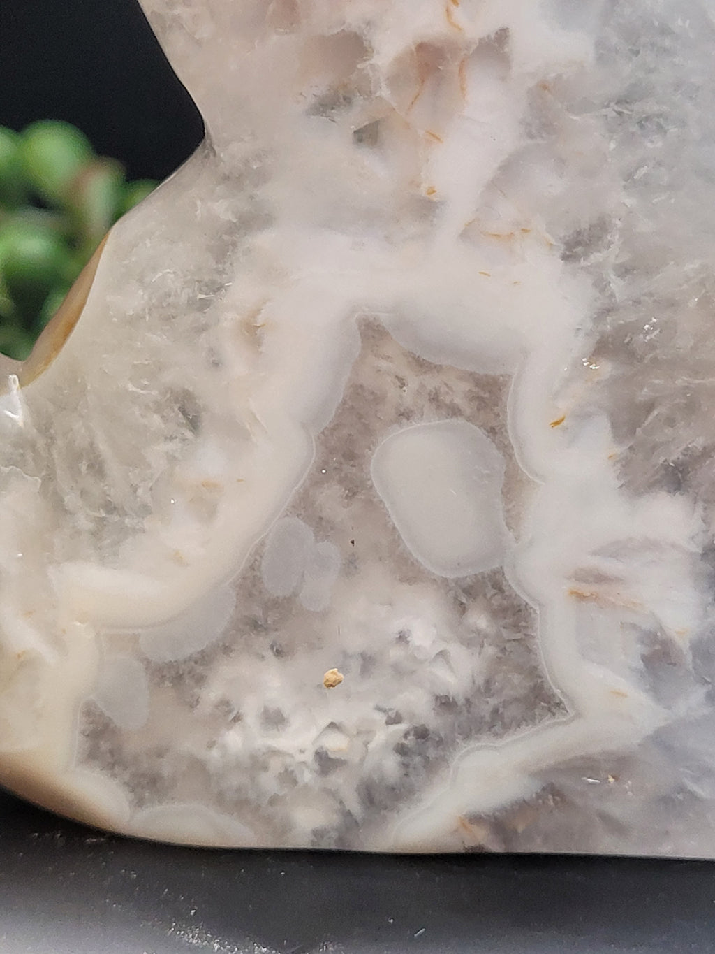 White Plume Agate Cat • Druzy Window Carving