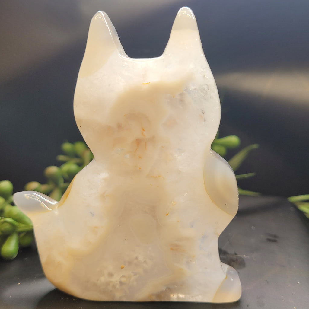 White Plume Agate Cat • Druzy Window Carving