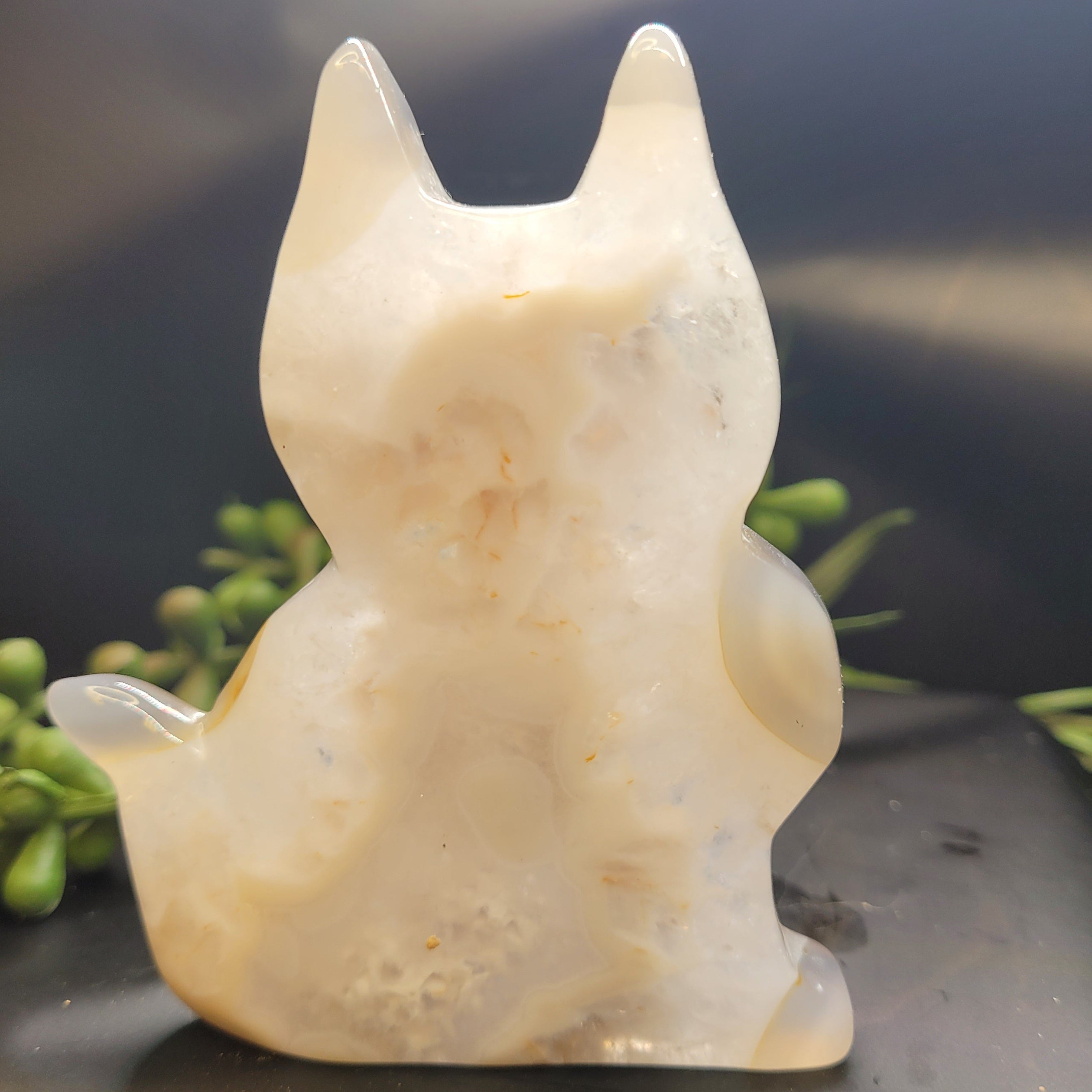 White Plume Agate Cat • Druzy Window Carving