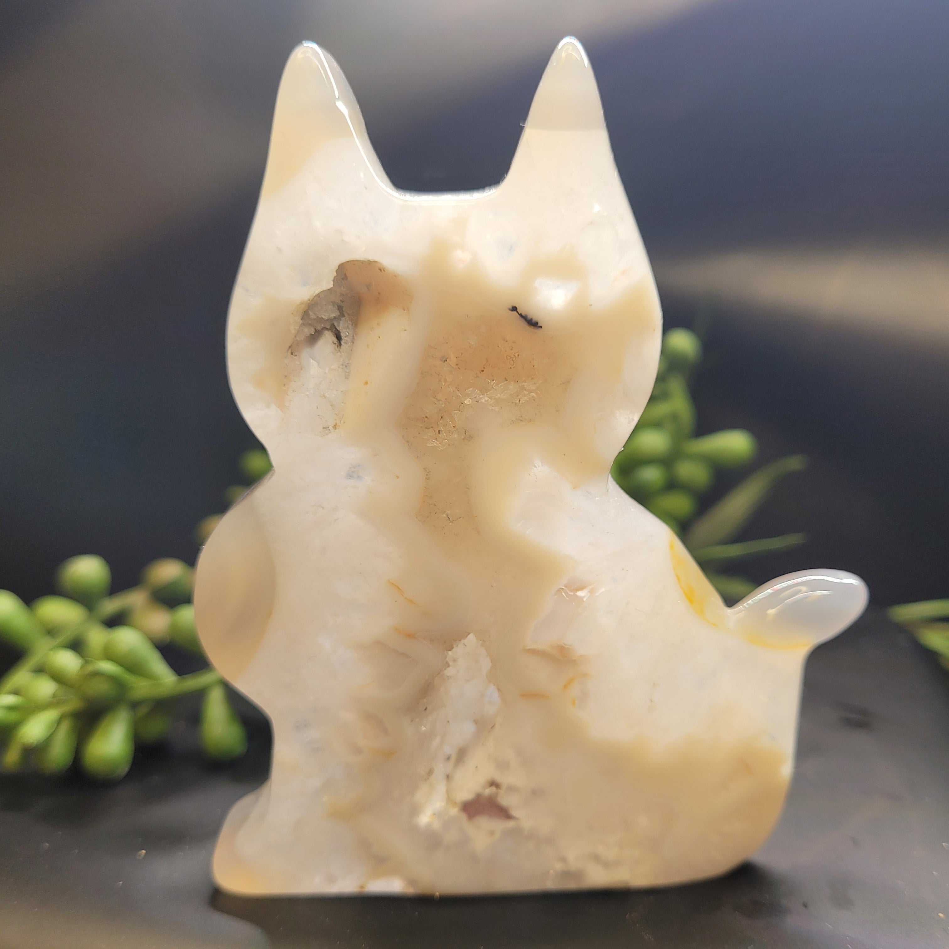 White Plume Agate Cat • Druzy Window Carving