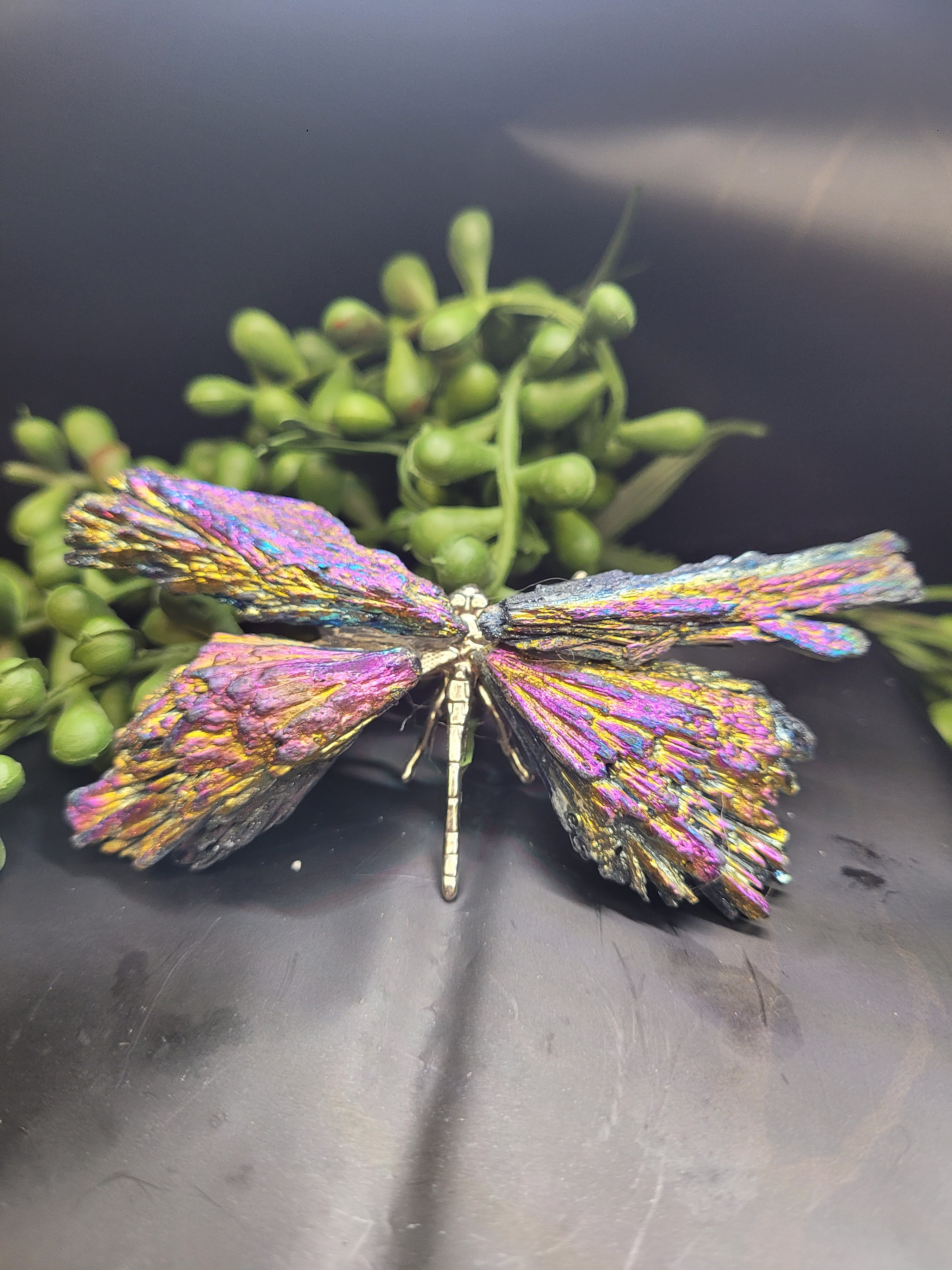 Rainbow Titanium Kyanite Dragonfly