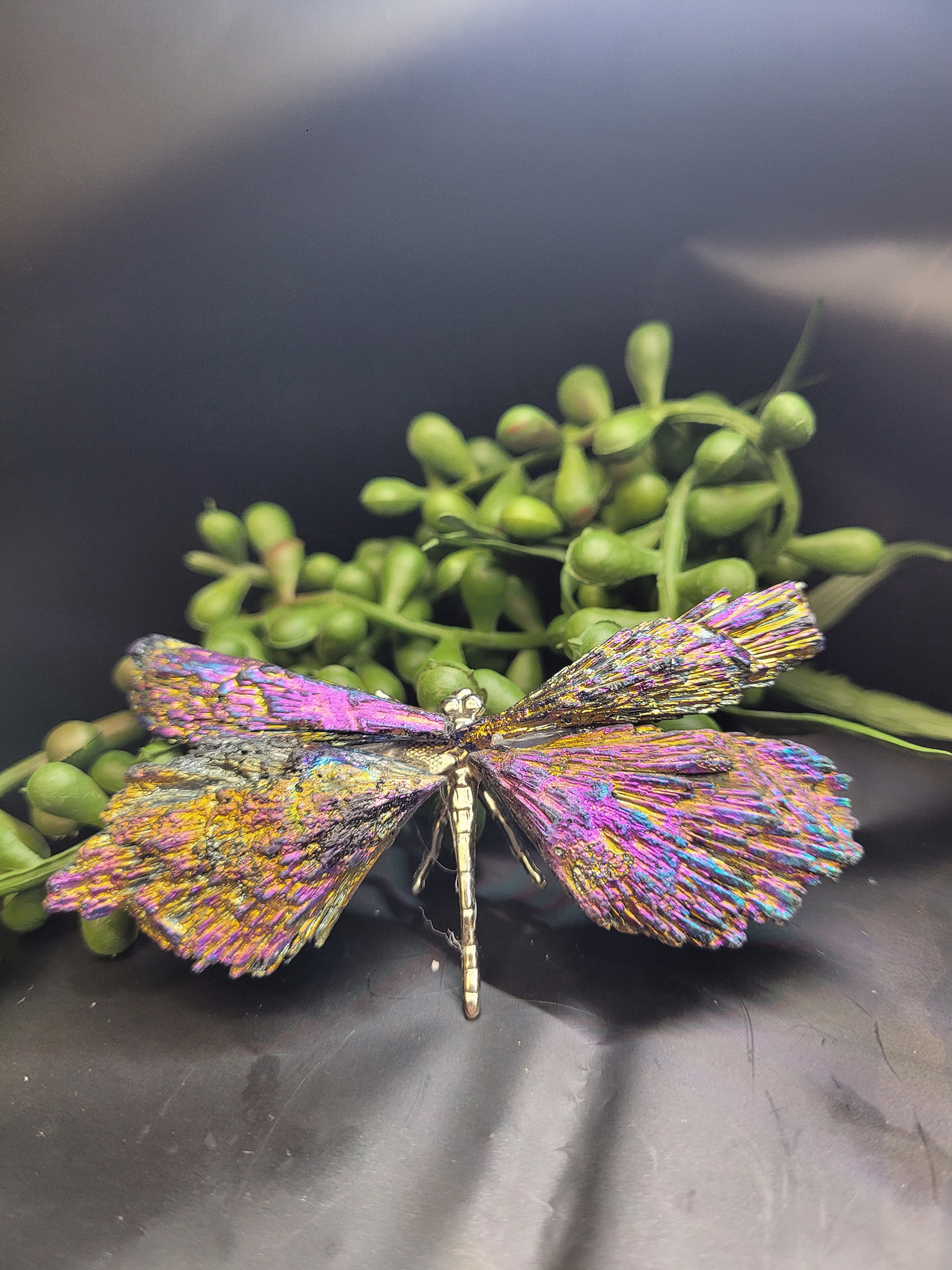 Rainbow Titanium Black Kyanite Dragonfly