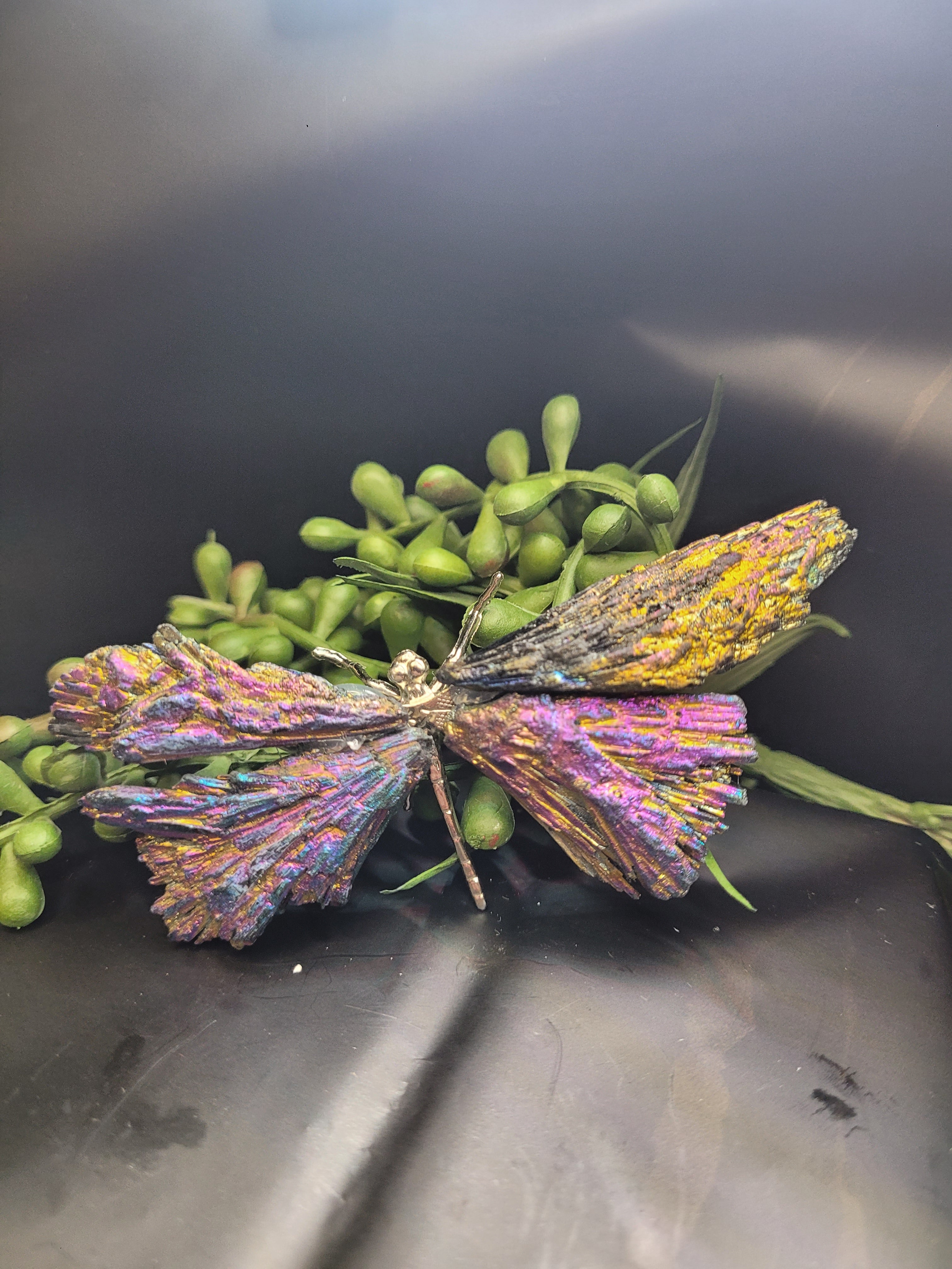 Rainbow Titanium Black Kyanite Dragonfly