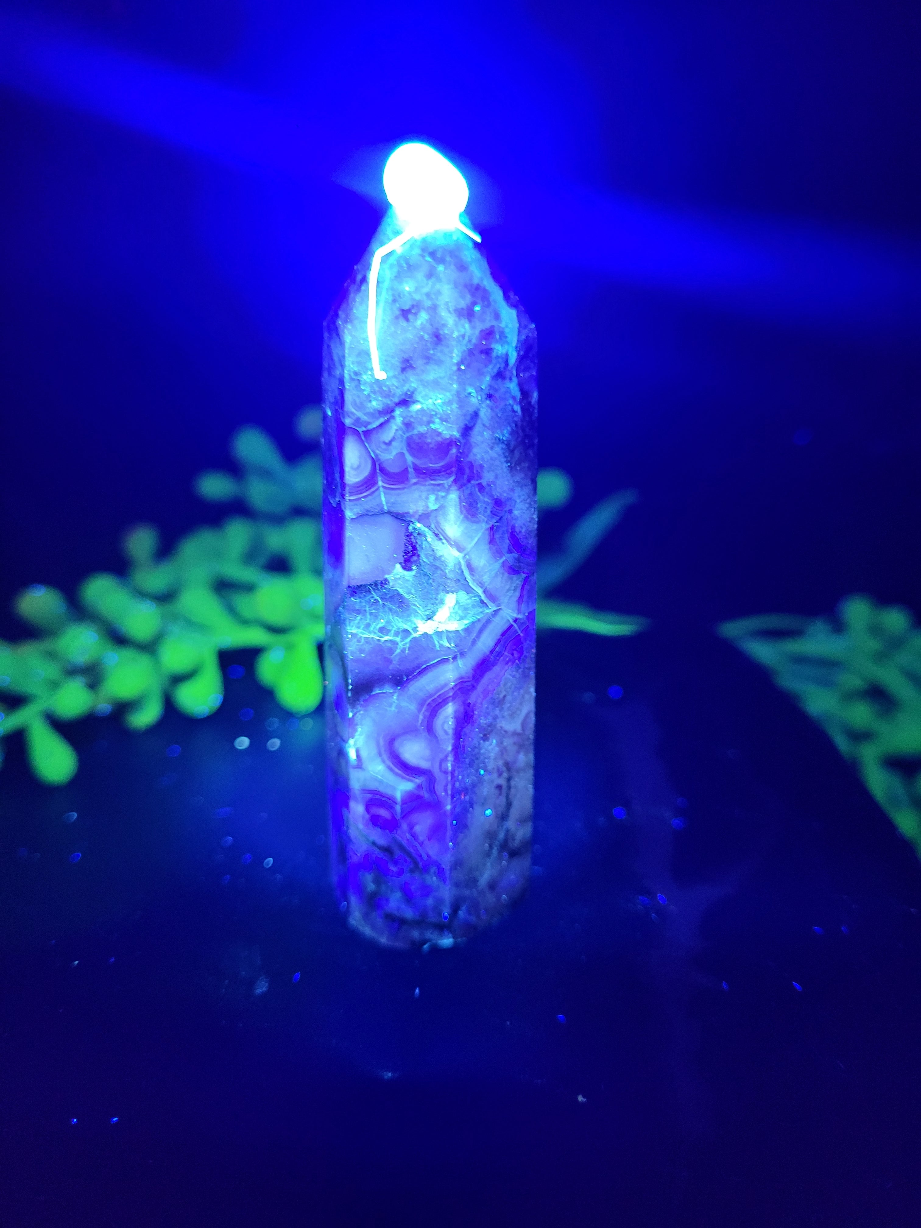Root Fluorite Tower | UV Reactive Purple & Cream Crystal Point