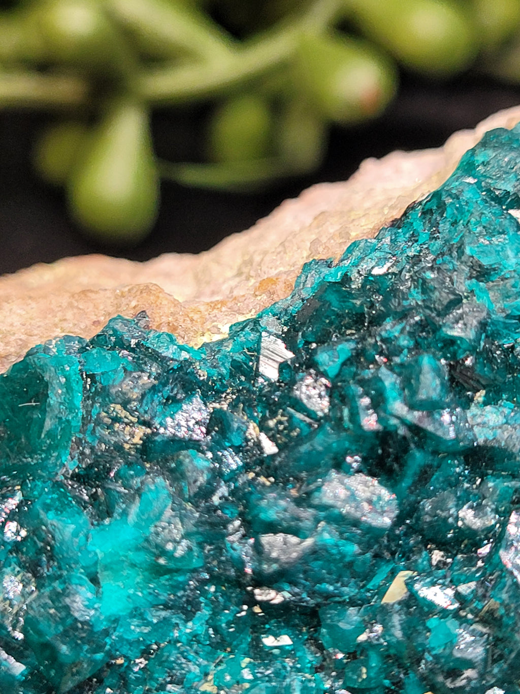 Dioptase Specimen on Matrix