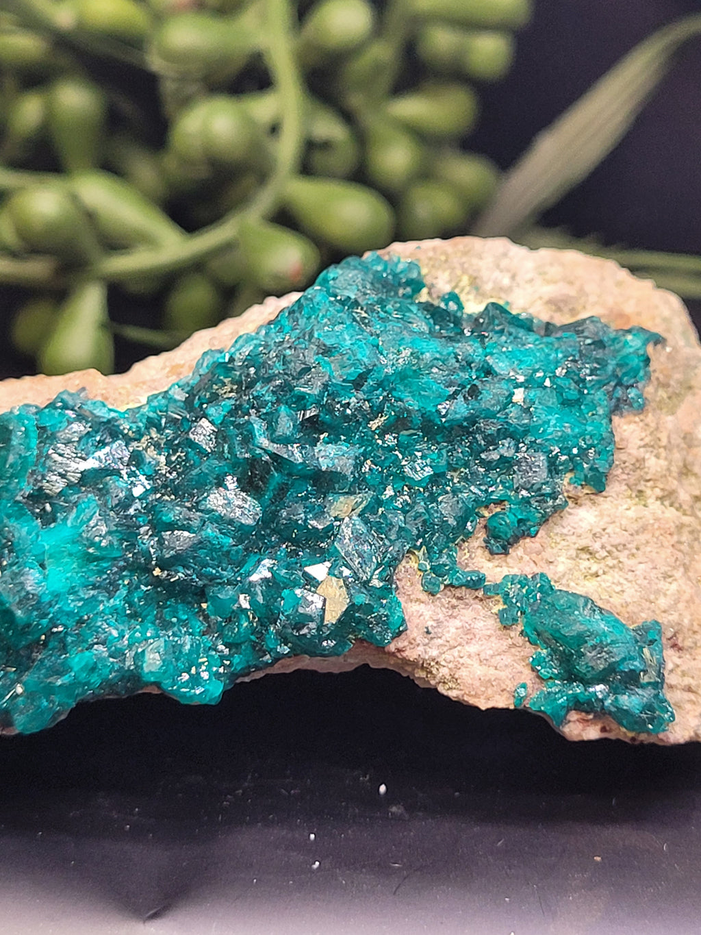 Dioptase Specimen on Matrix
