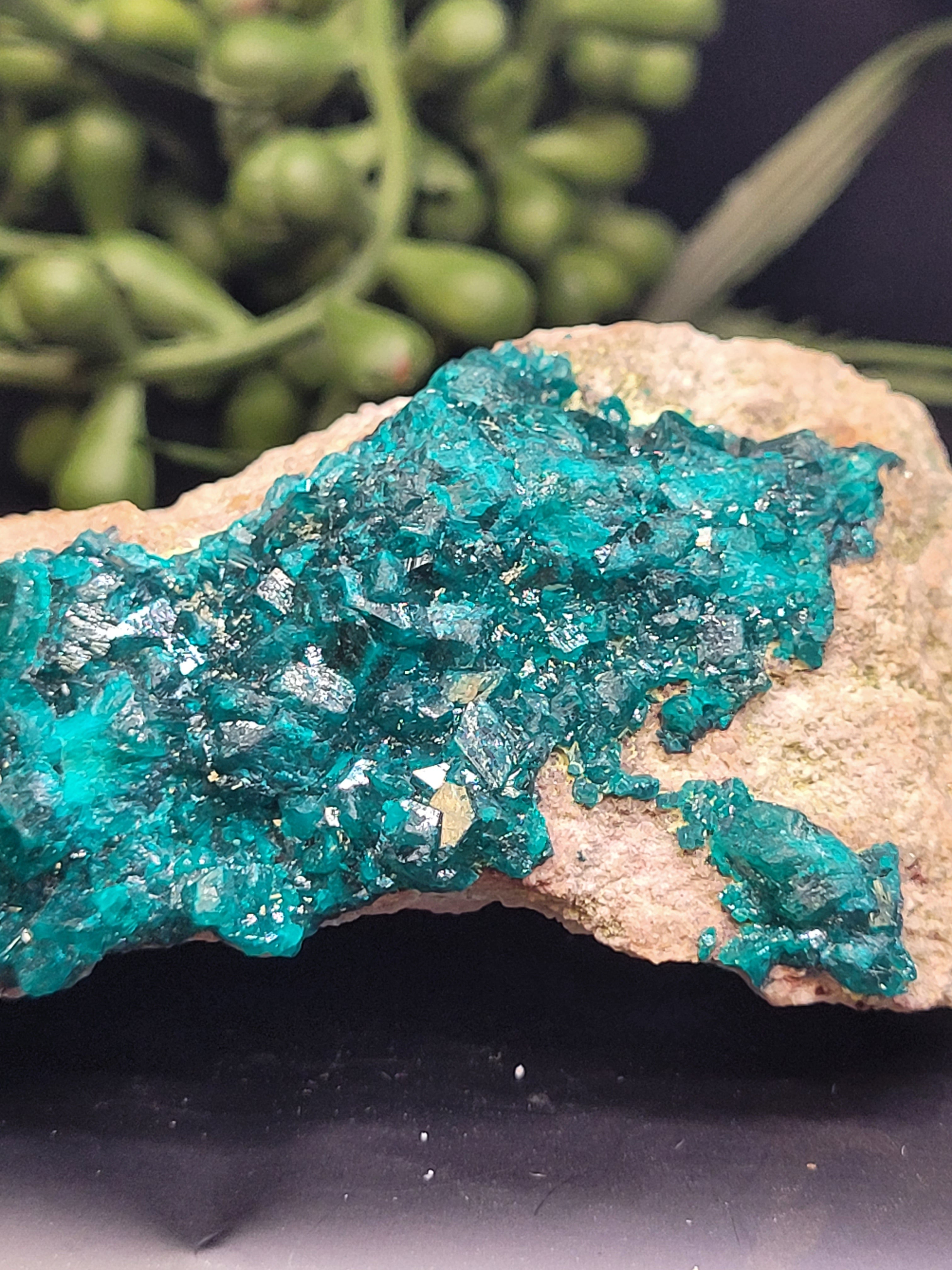 Dioptase Specimen on Matrix
