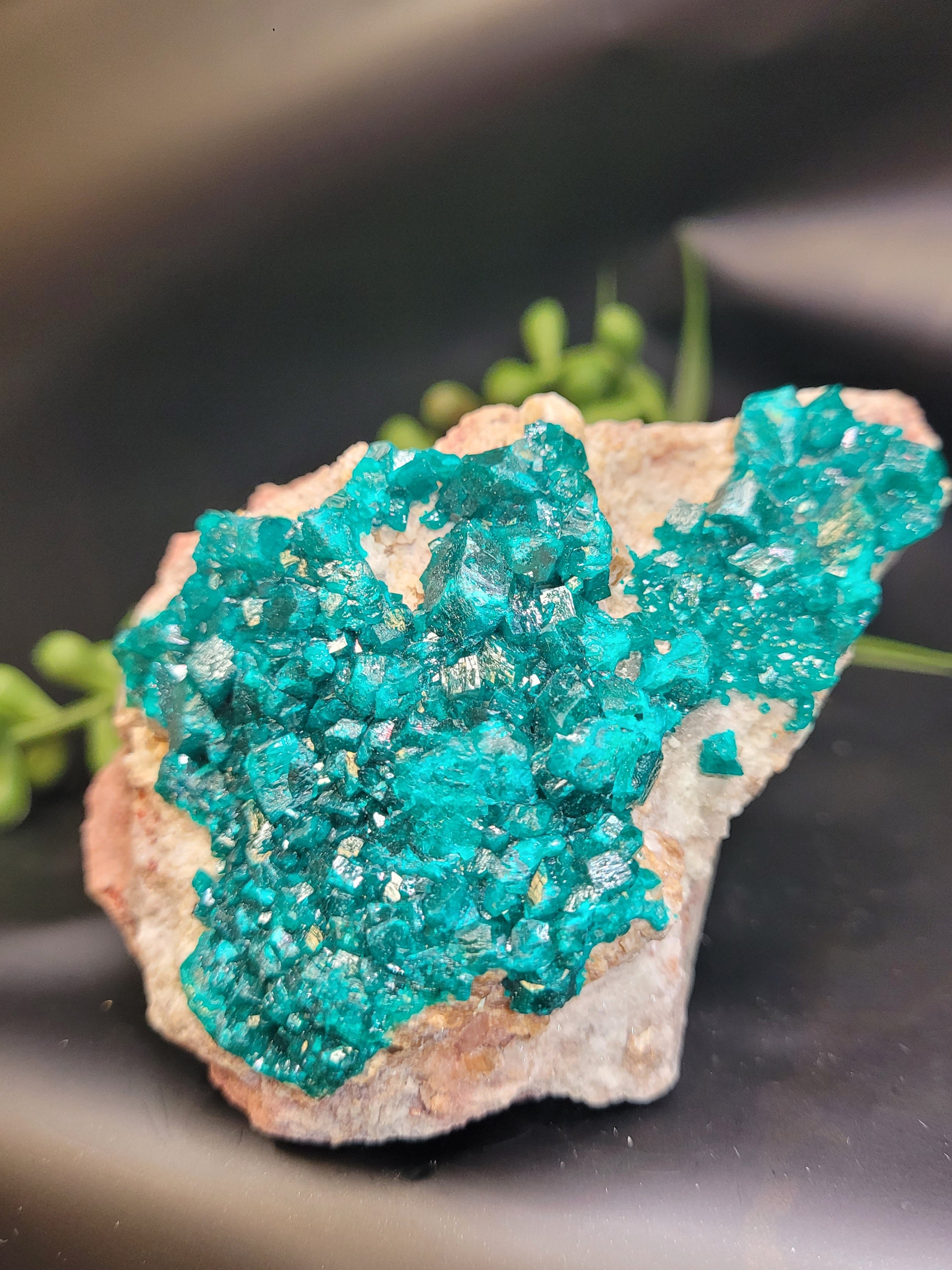 Dioptase Specimen on Matrix