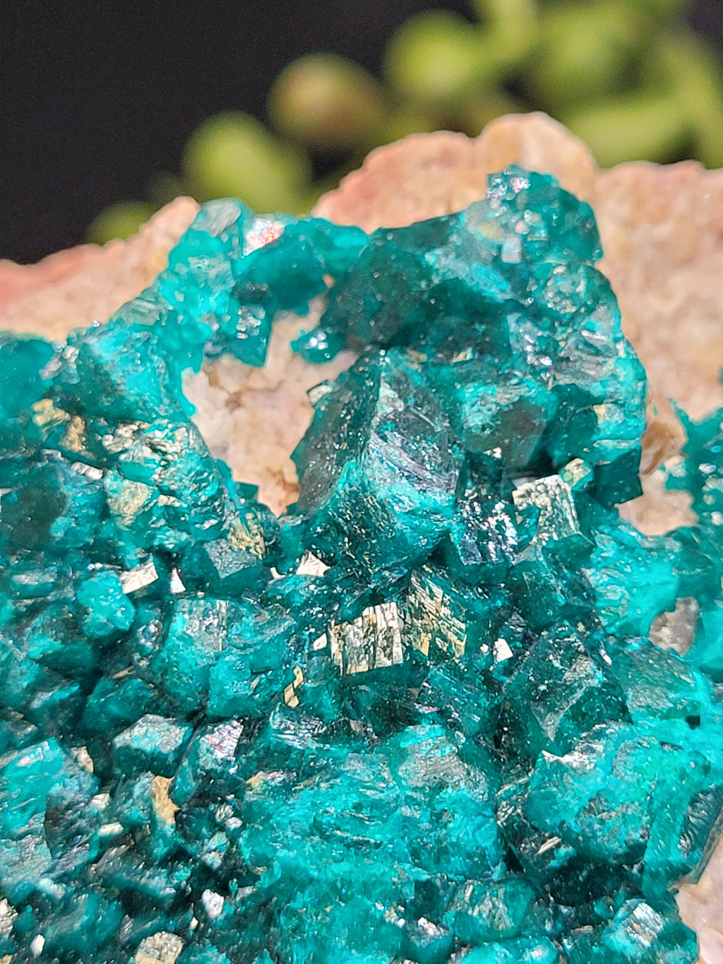 Dioptase Specimen on Matrix