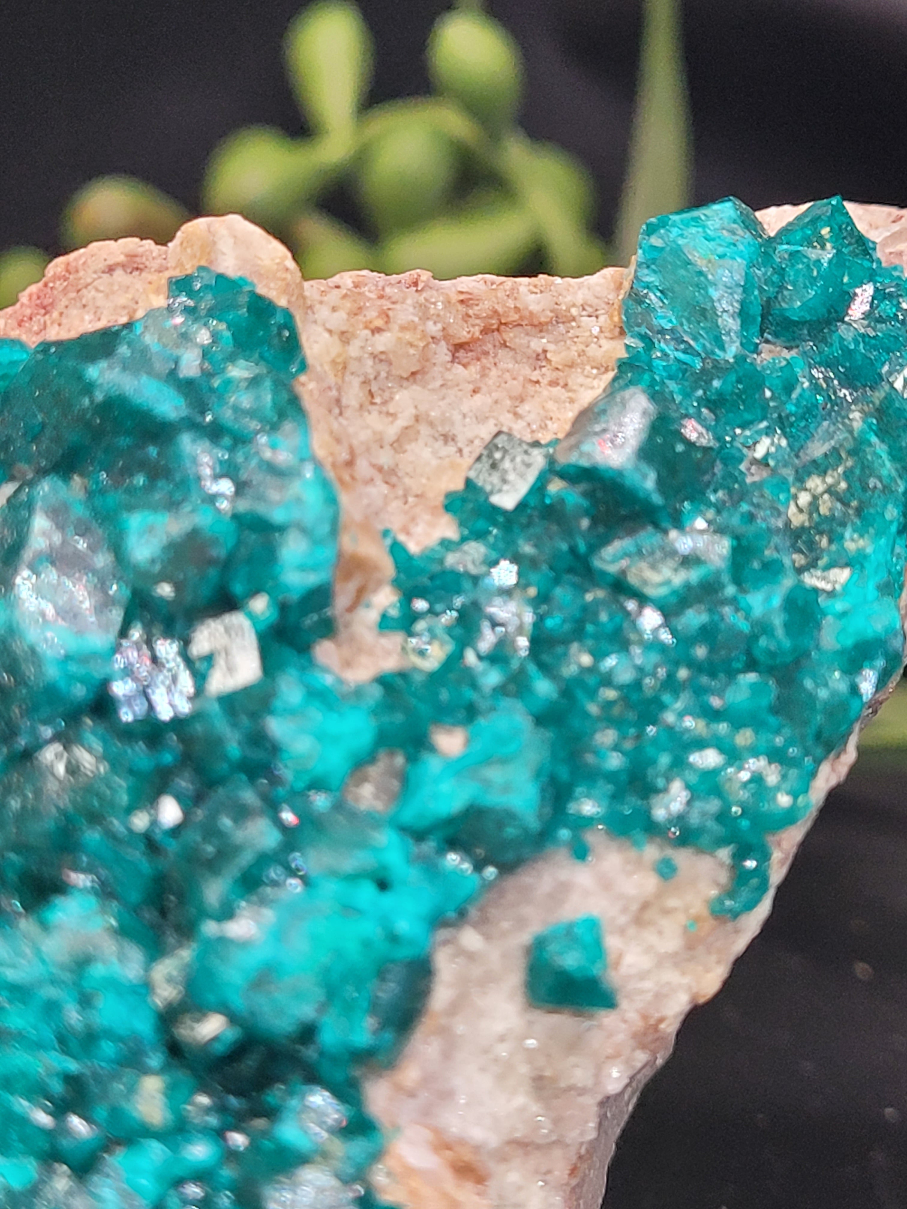 Dioptase Specimen on Matrix
