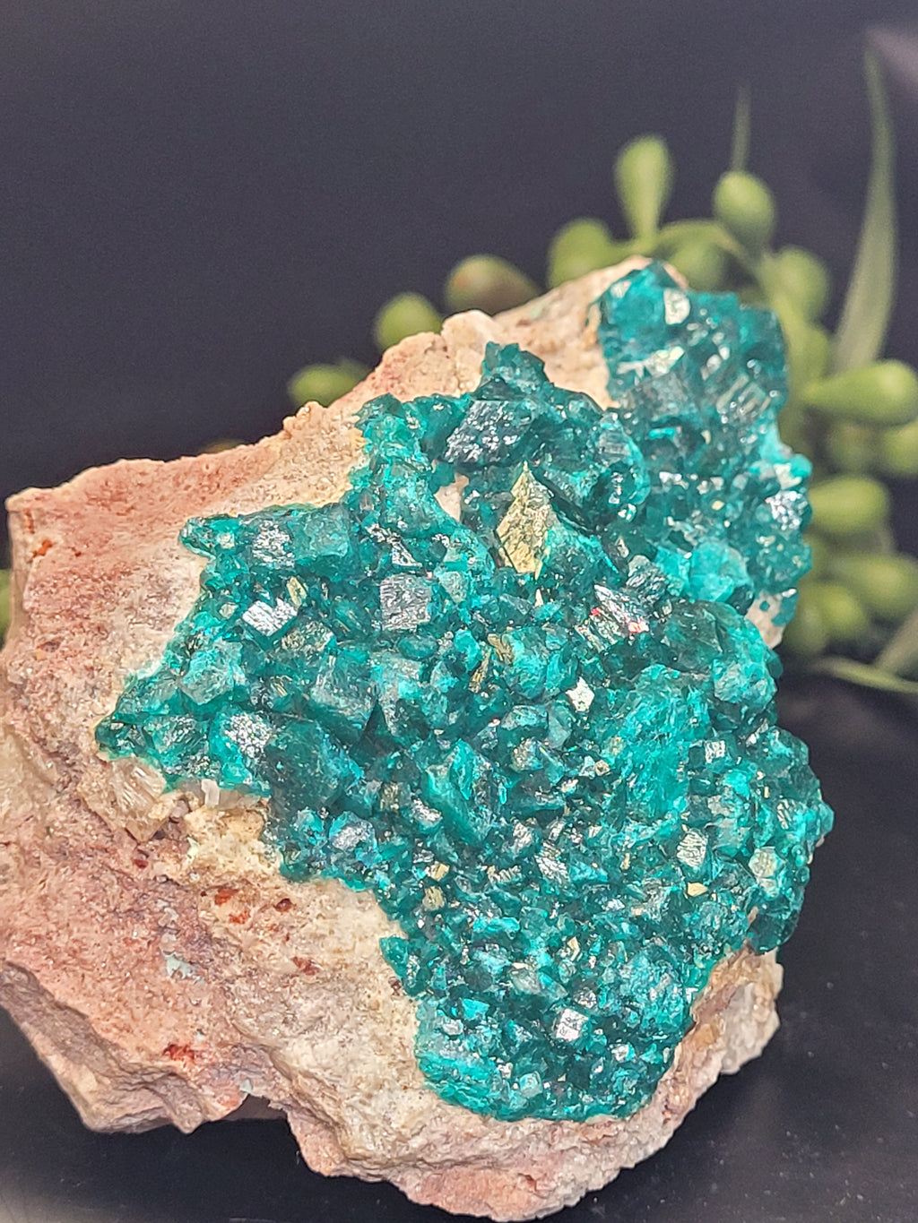 Dioptase Specimen on Matrix