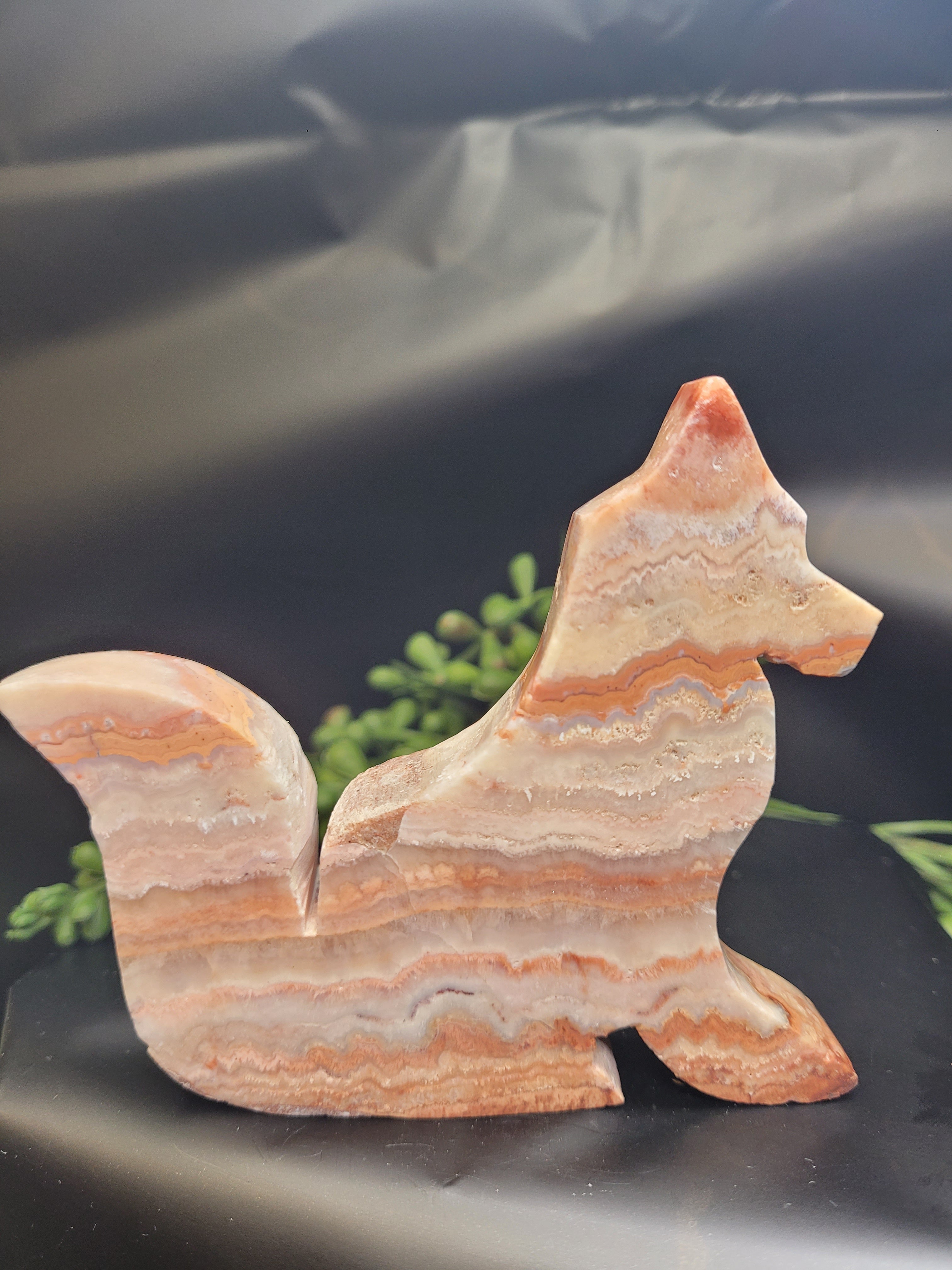 Pink Crazy Lace Agate Fox • Sunset Lace Pattern