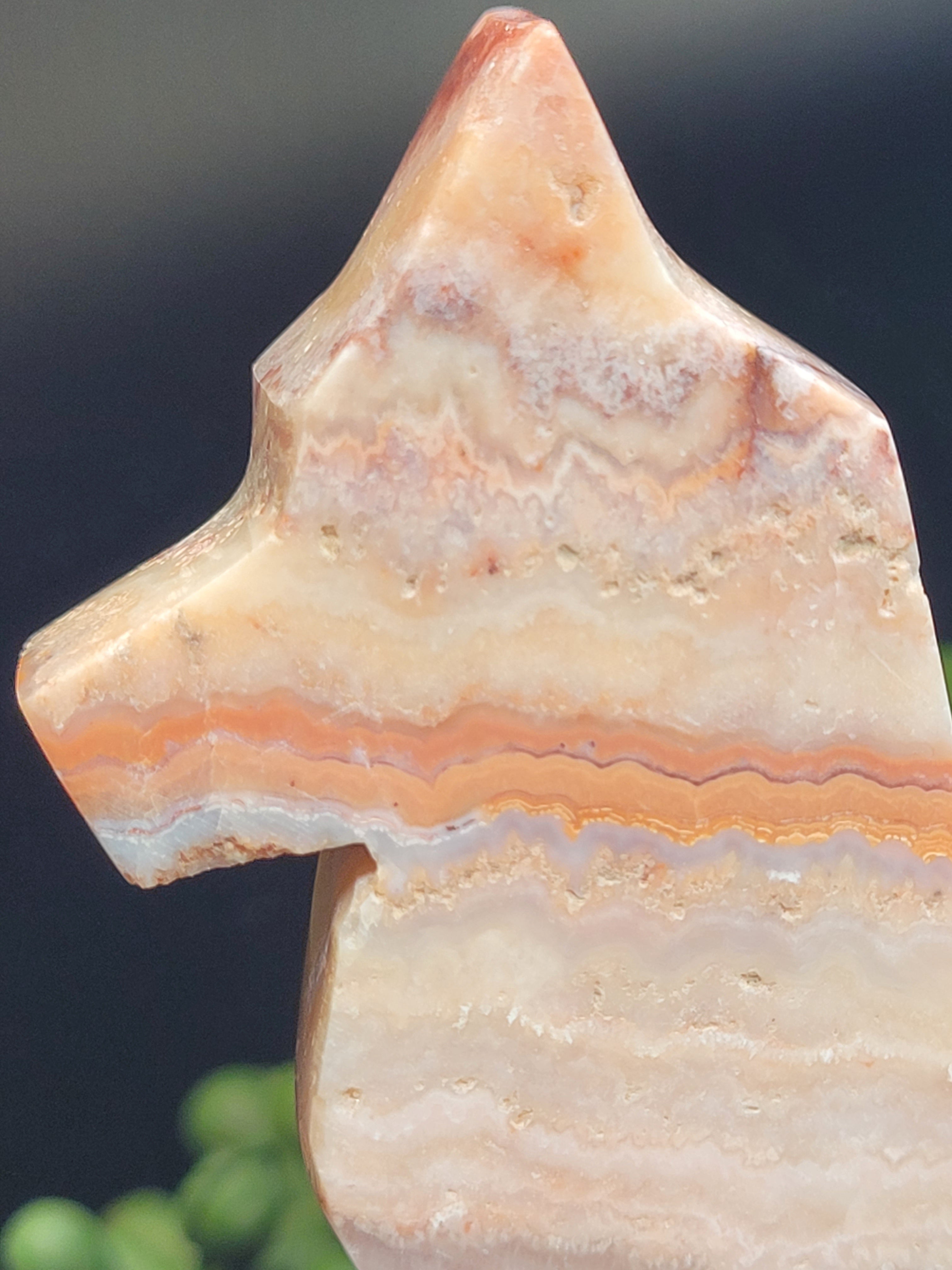 Pink Crazy Lace Agate Fox • Sunset Lace Pattern