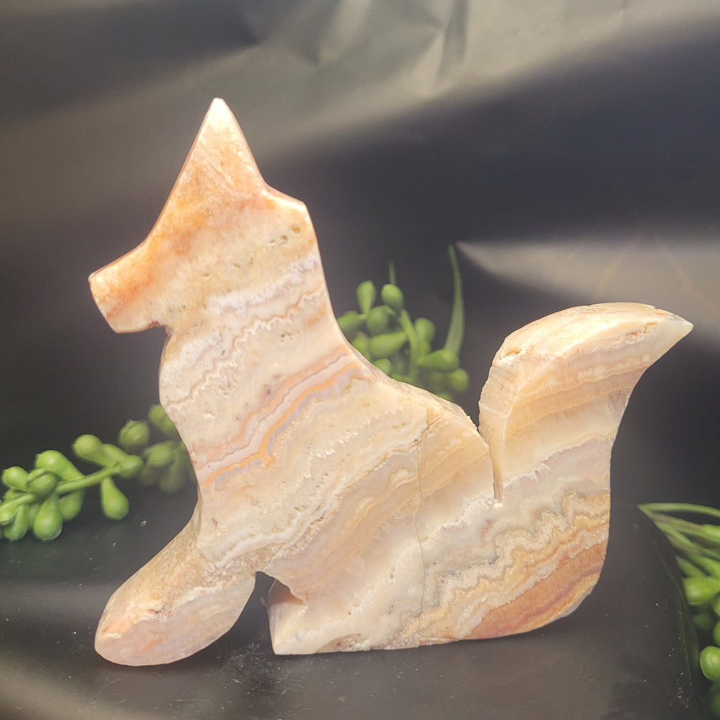 Pink Crazy Lace Agate Fox • Flowing Lace Patterns