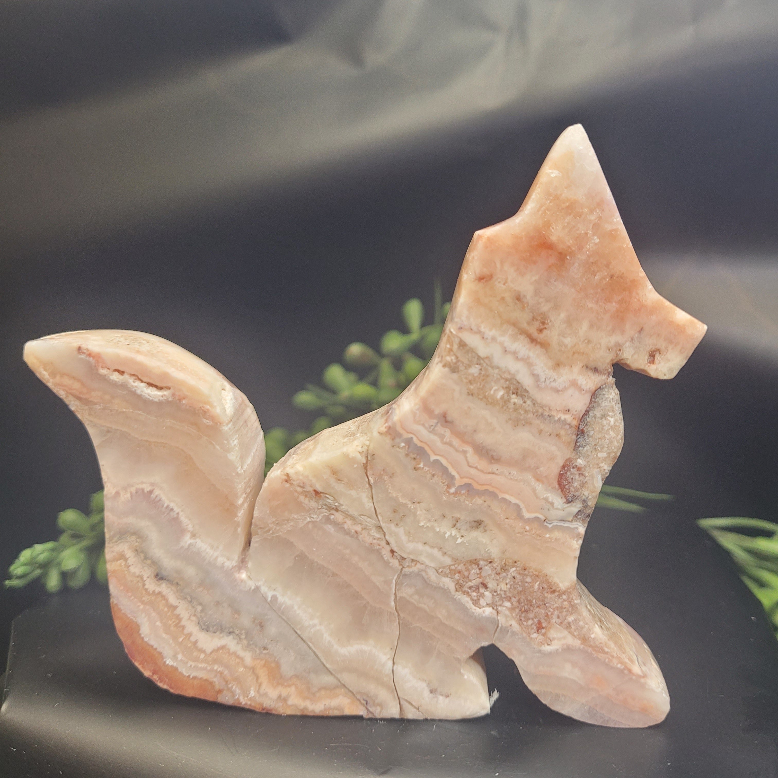 Pink Crazy Lace Agate Fox • Flowing Lace Patterns
