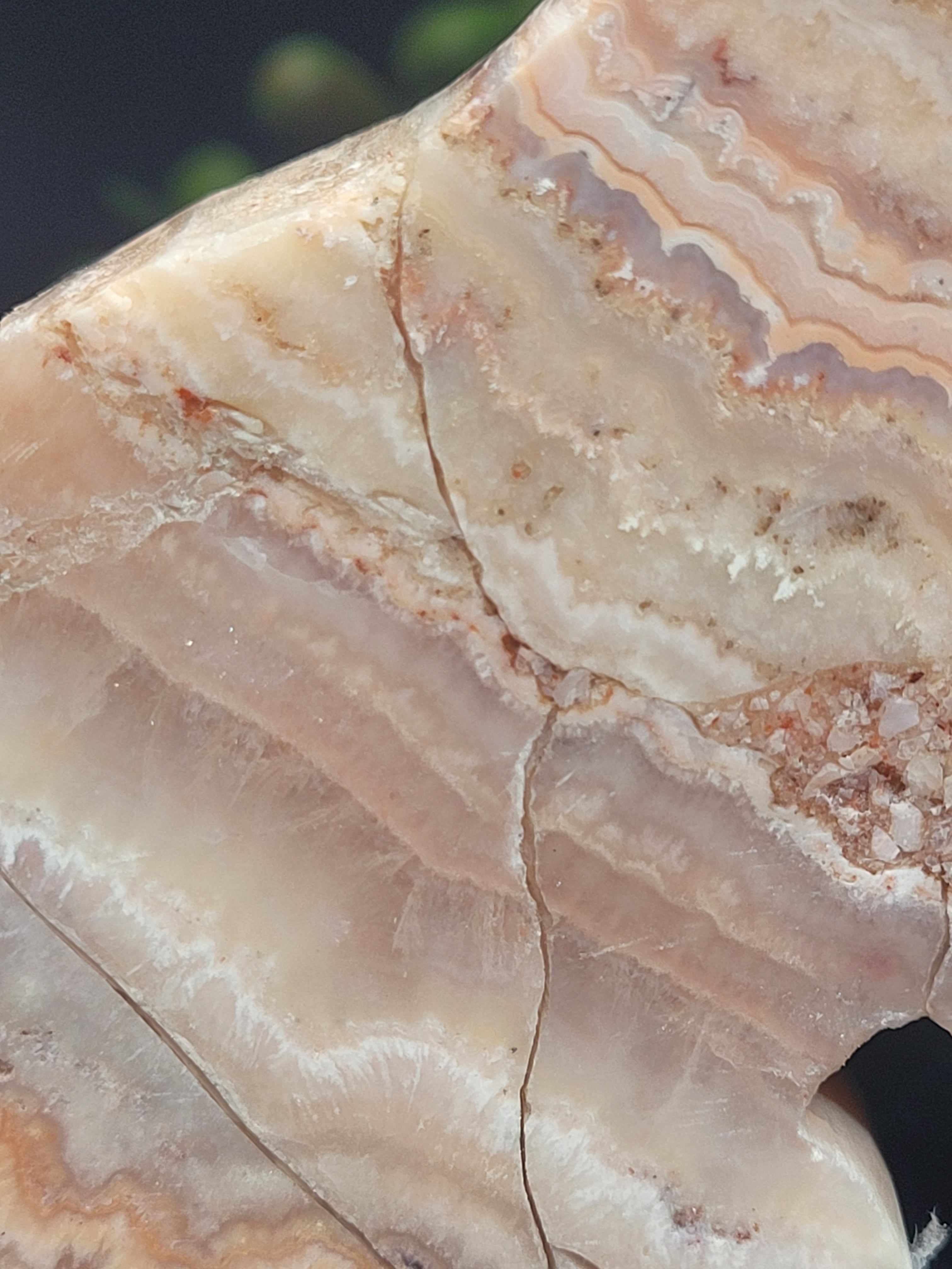 Pink Crazy Lace Agate Fox • Flowing Lace Patterns