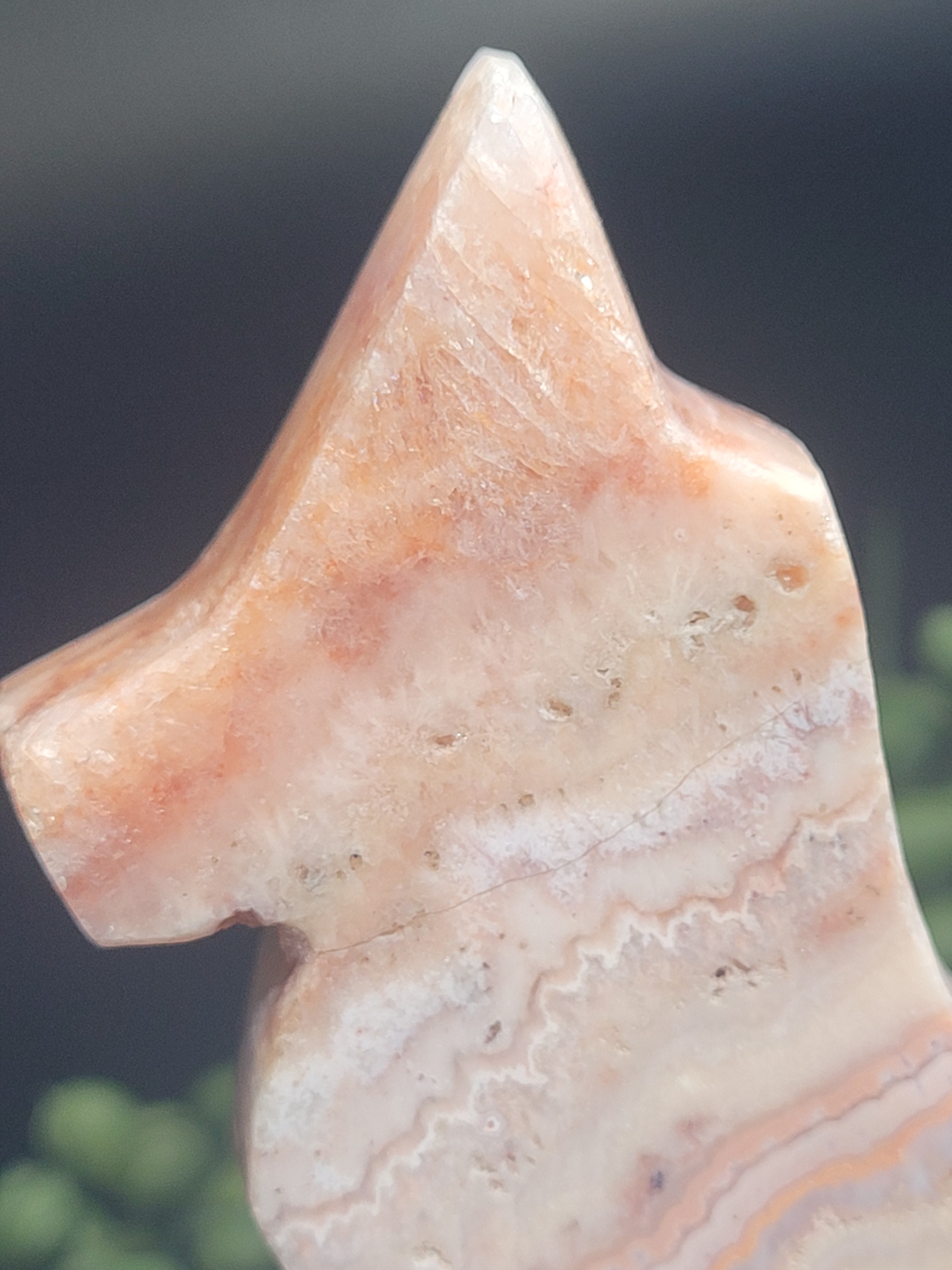 Pink Crazy Lace Agate Fox • Flowing Lace Patterns