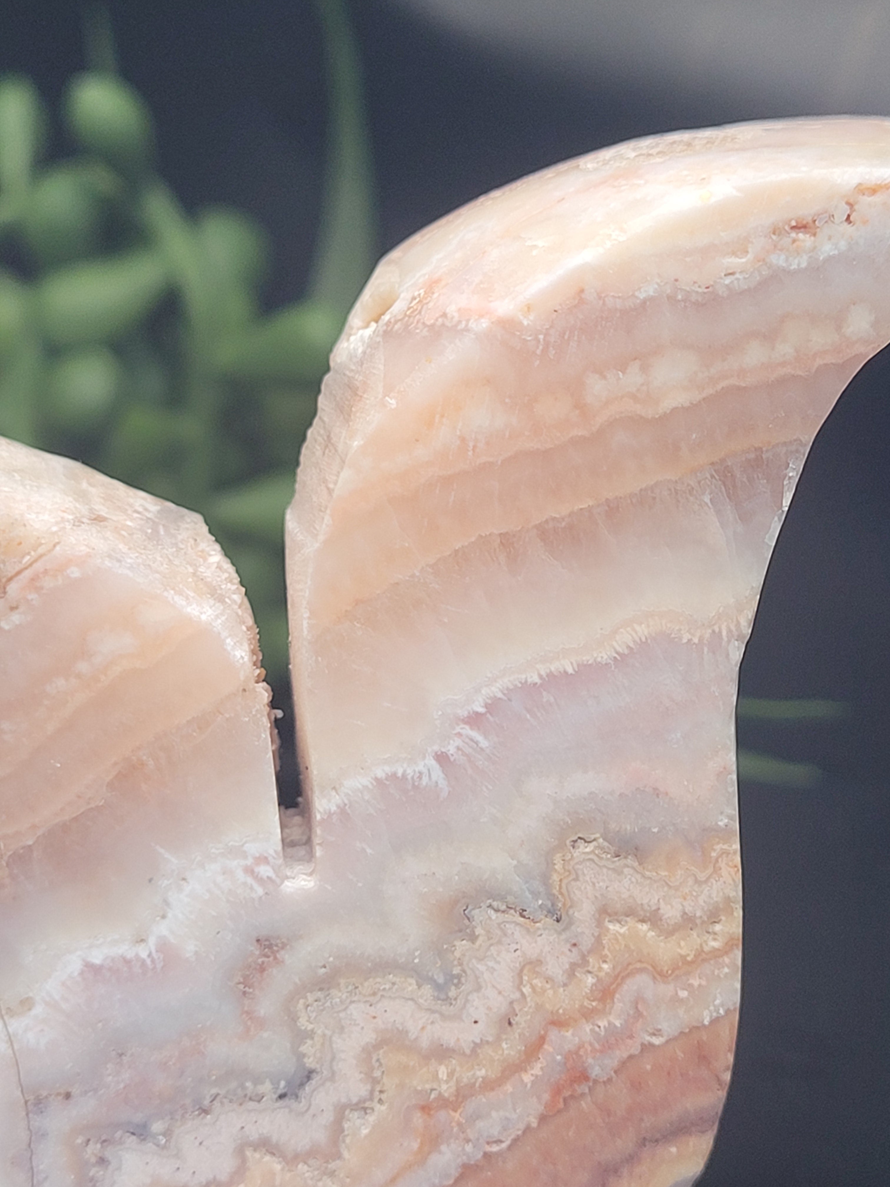 Pink Crazy Lace Agate Fox • Flowing Lace Patterns