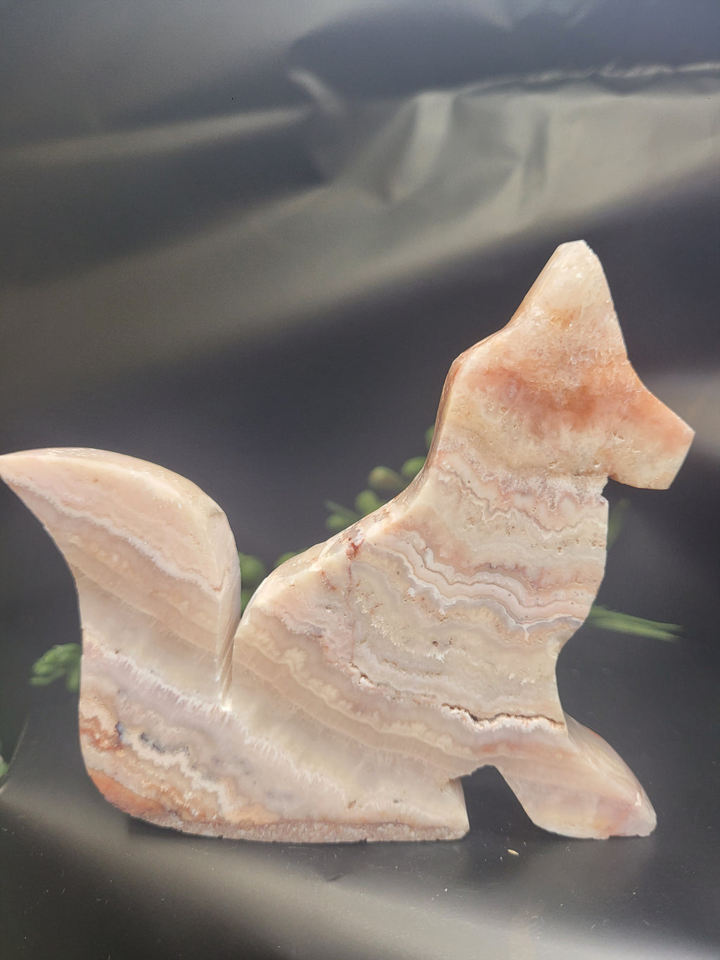 Pink Crazy Lace Agate Fox • Blush Cloud Patterns