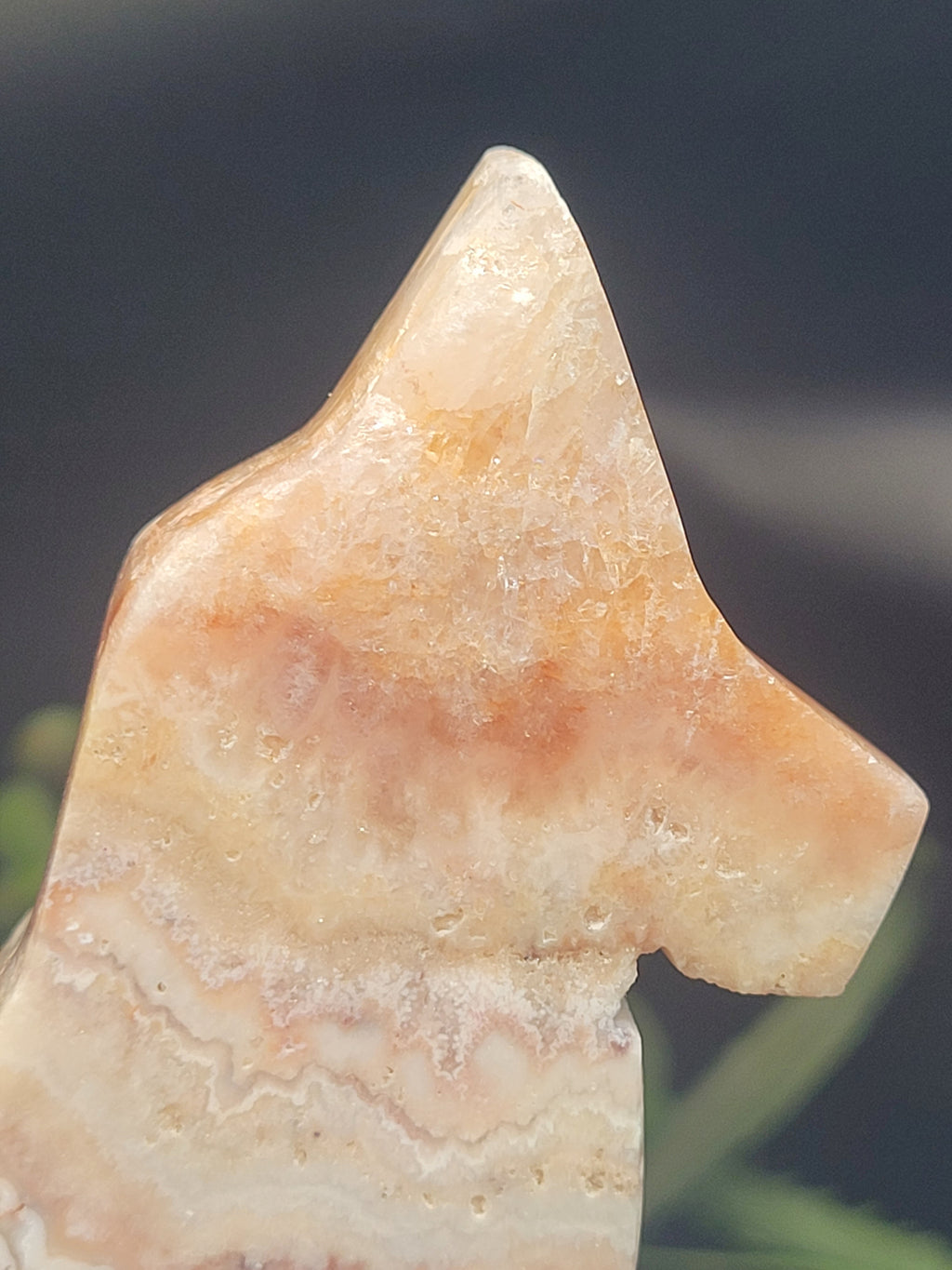 Pink Crazy Lace Agate Fox • Blush Cloud Patterns