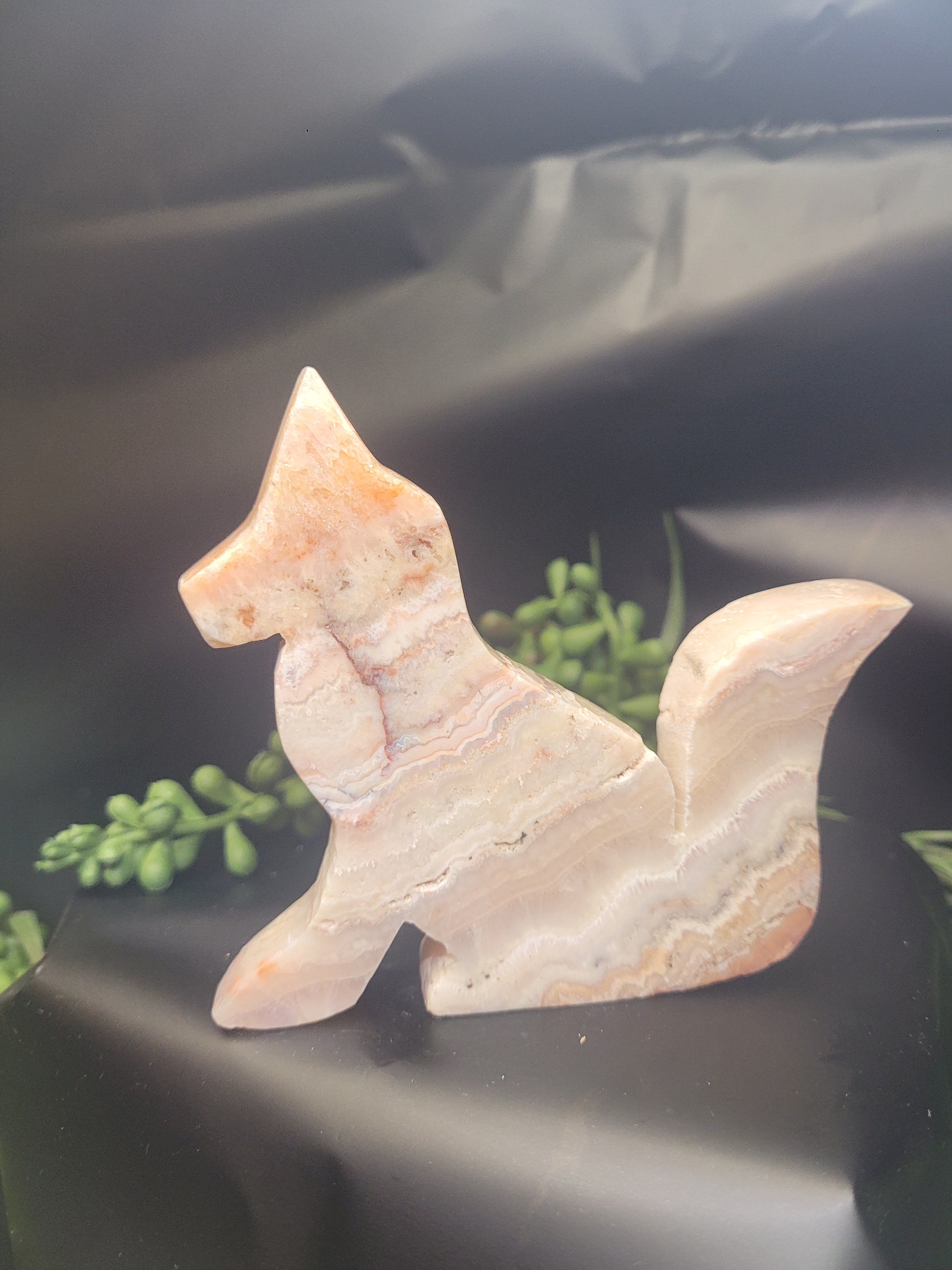 Pink Crazy Lace Agate Fox • Blush Cloud Patterns