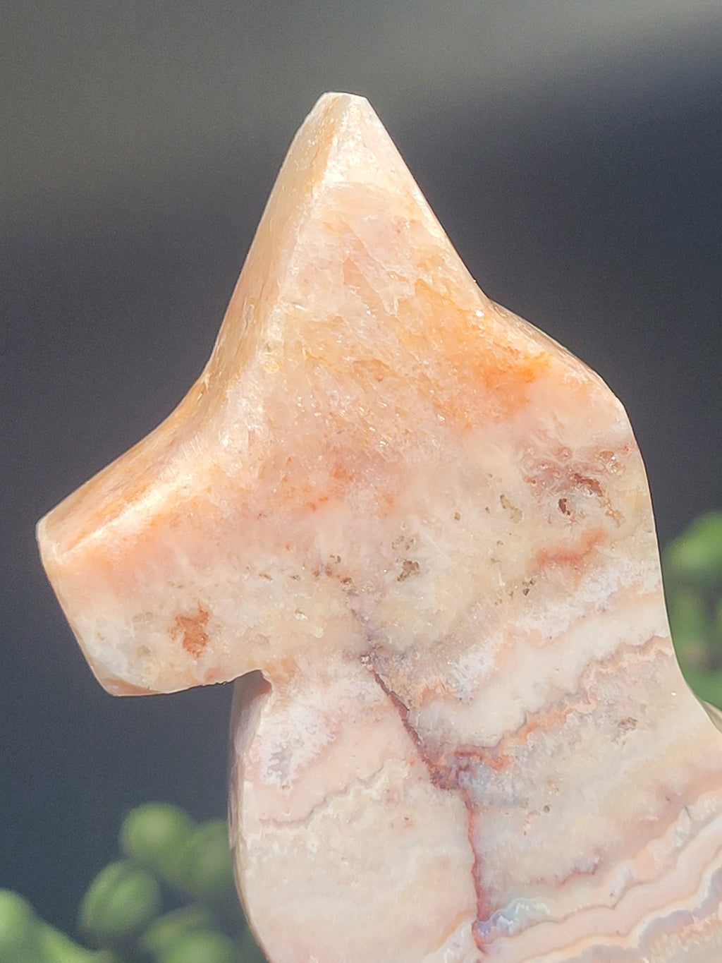Pink Crazy Lace Agate Fox • Blush Cloud Patterns