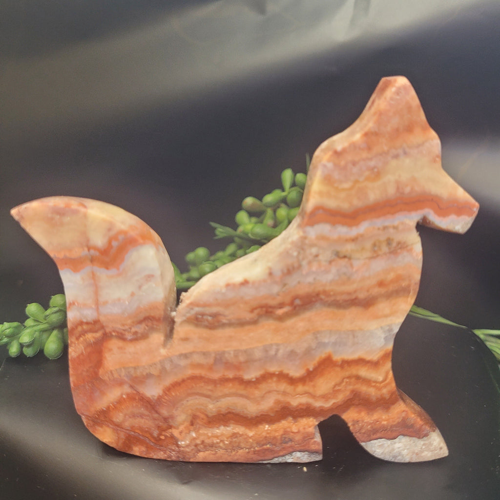 Pink Crazy Lace Agate Fox • Blush Veining