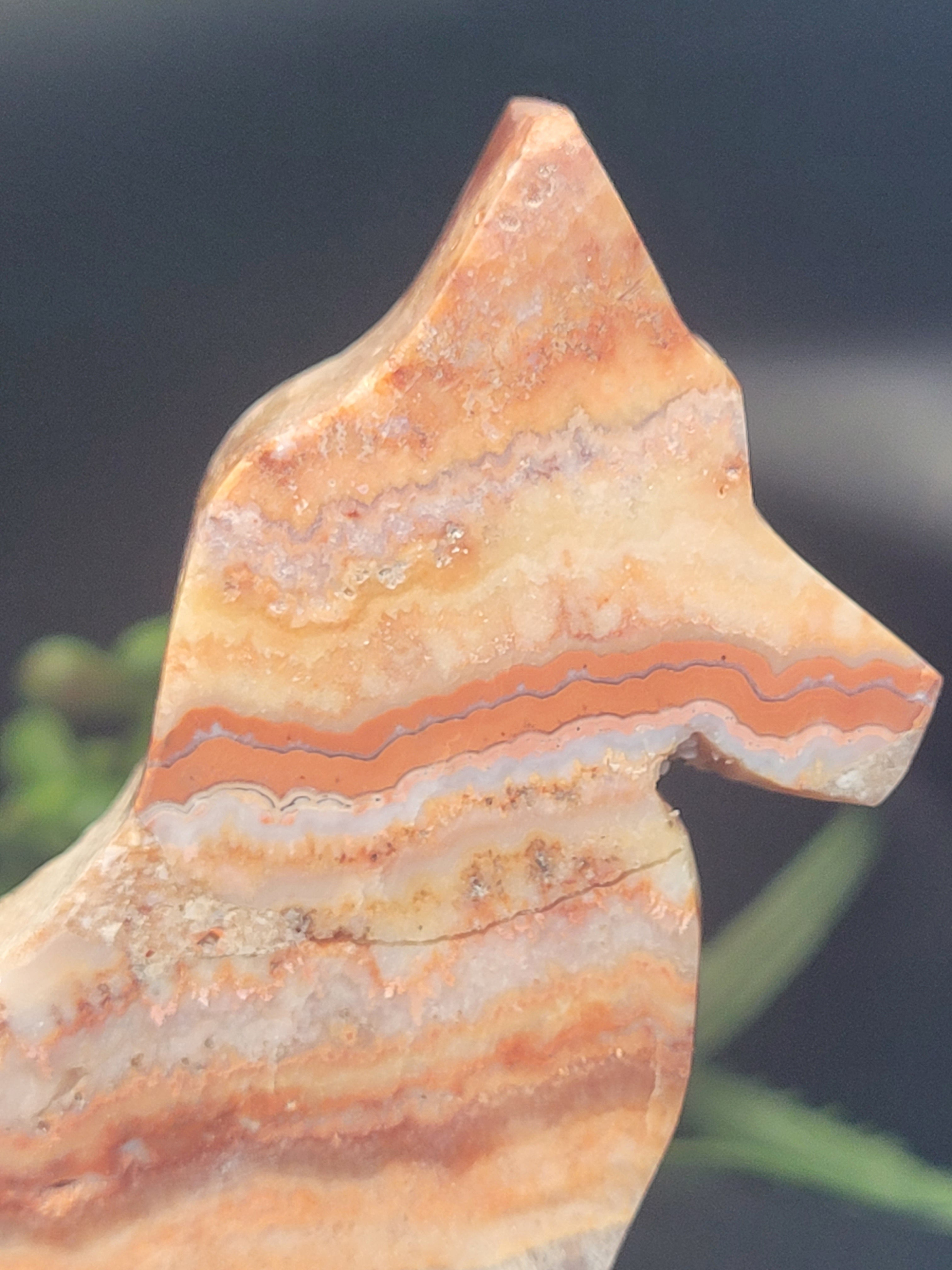 Pink Crazy Lace Agate Fox • Blush Veining