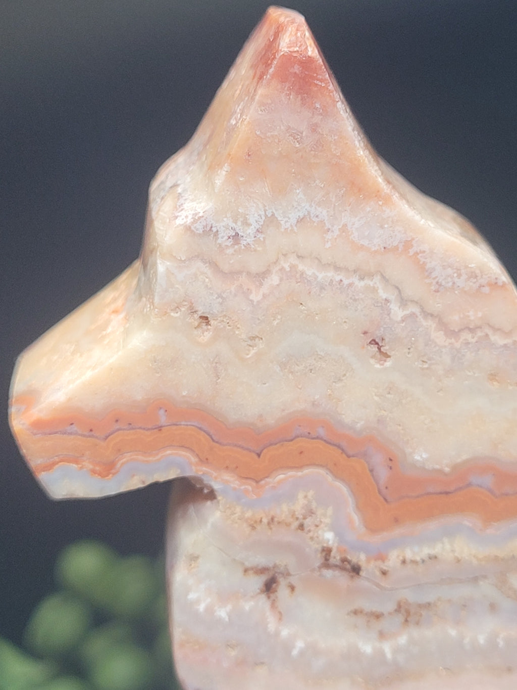 Pink Crazy Lace Agate Fox • Blush Veining