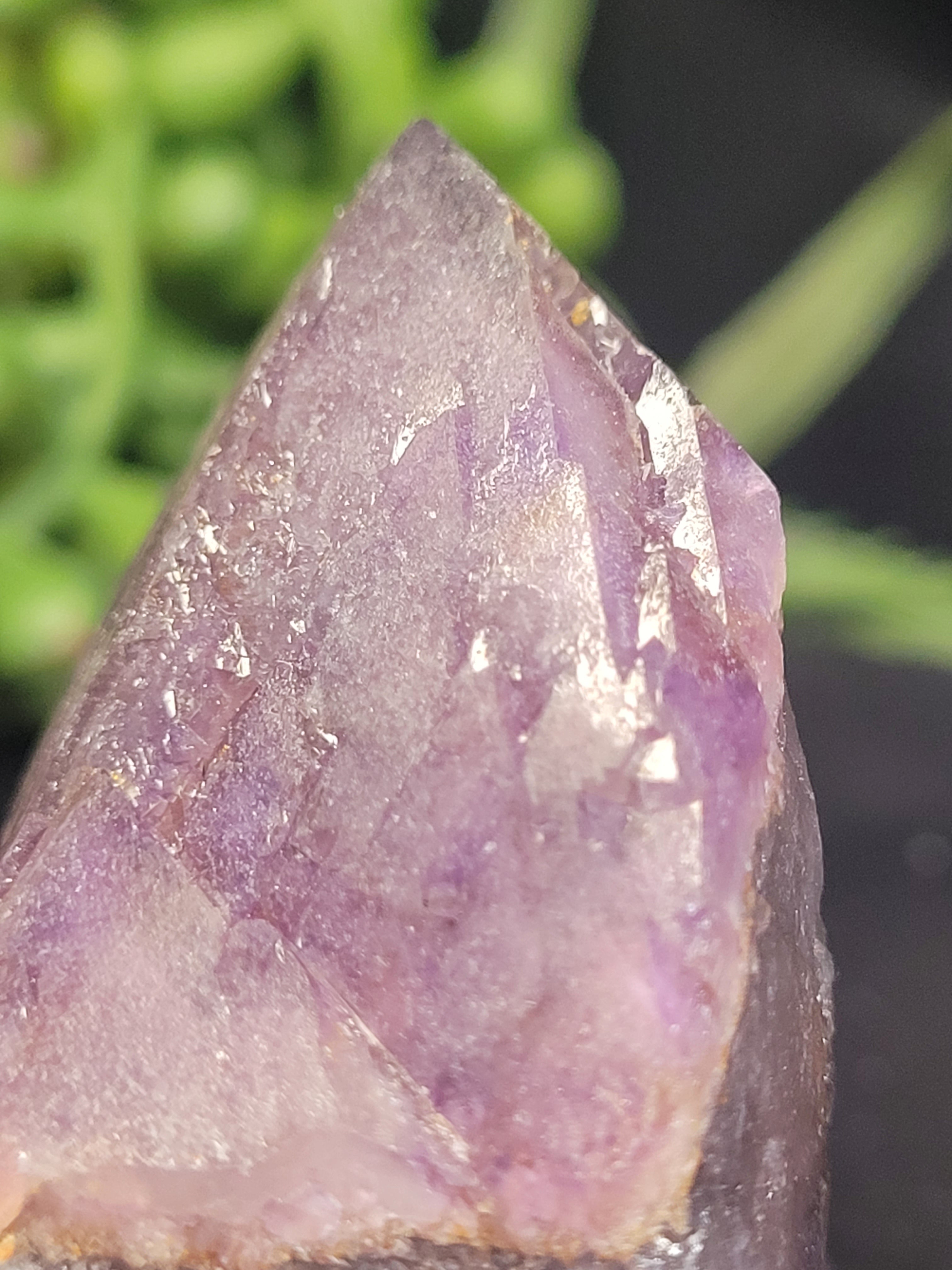 Alien Amethyst Point • Natural Color Zoning