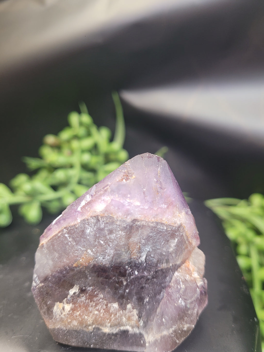 Alien Amethyst Point • Natural Color Zoning