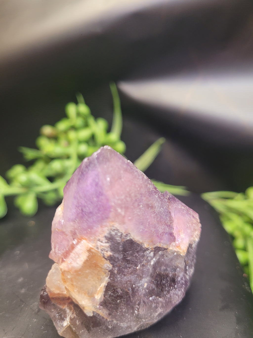 Alien Amethyst Point • Natural Color Zoning
