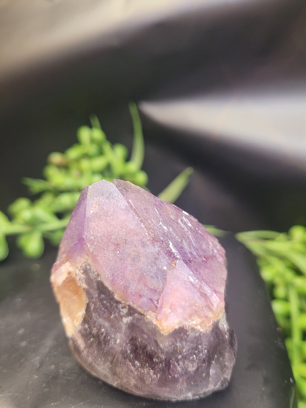 Alien Amethyst Point • Natural Color Zoning