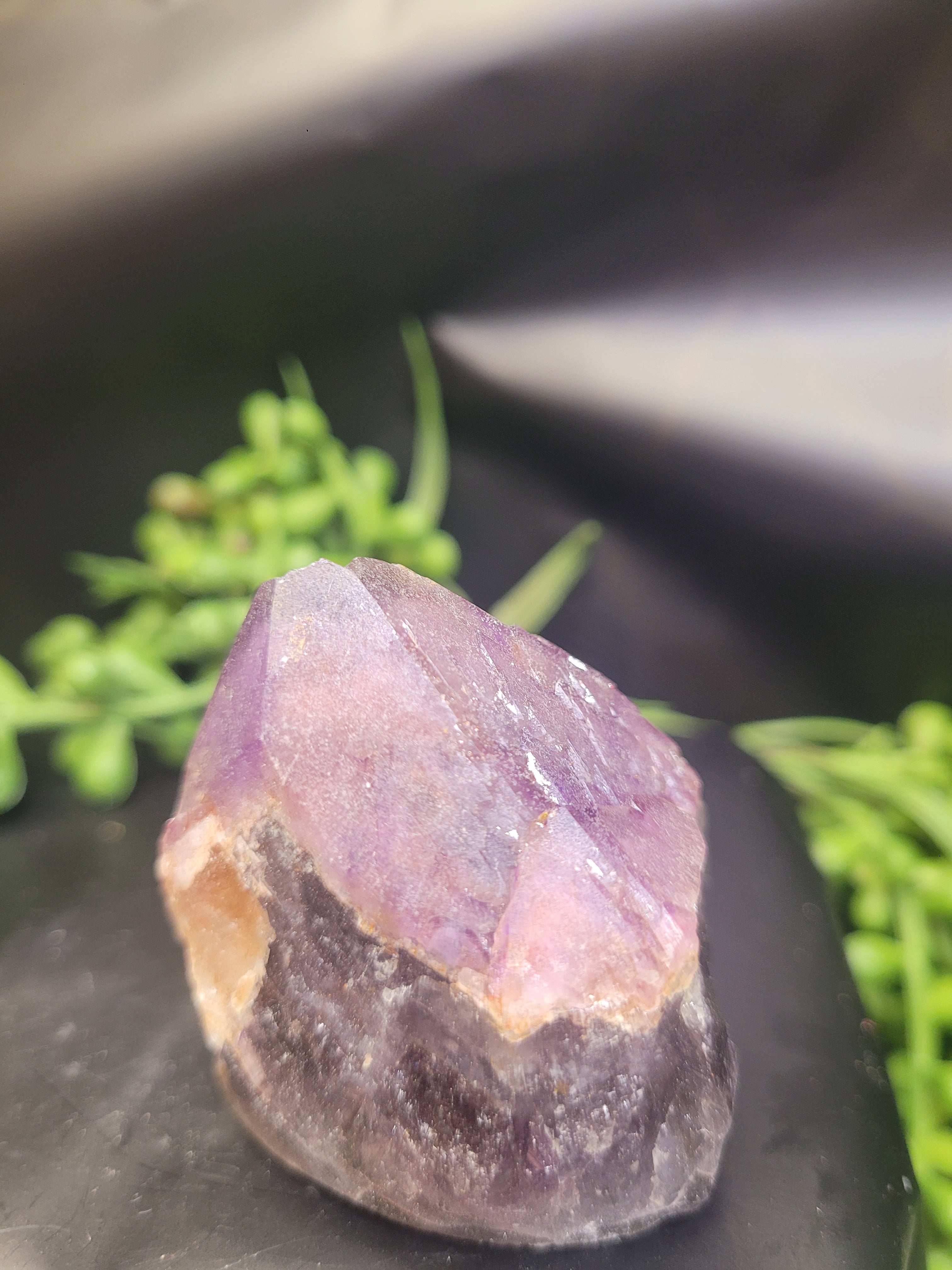 Alien Amethyst Point • Natural Color Zoning