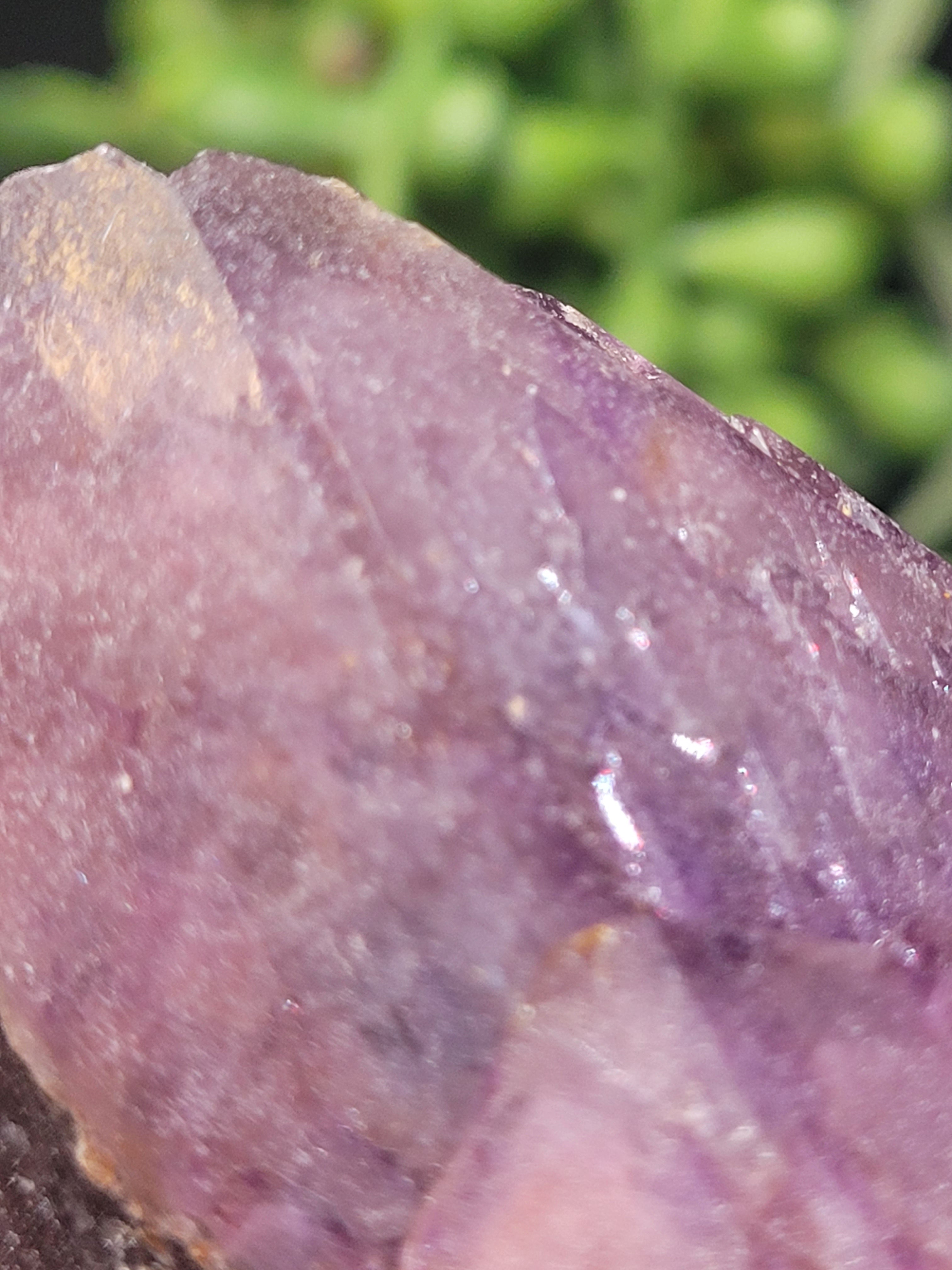 Alien Amethyst Point • Natural Color Zoning
